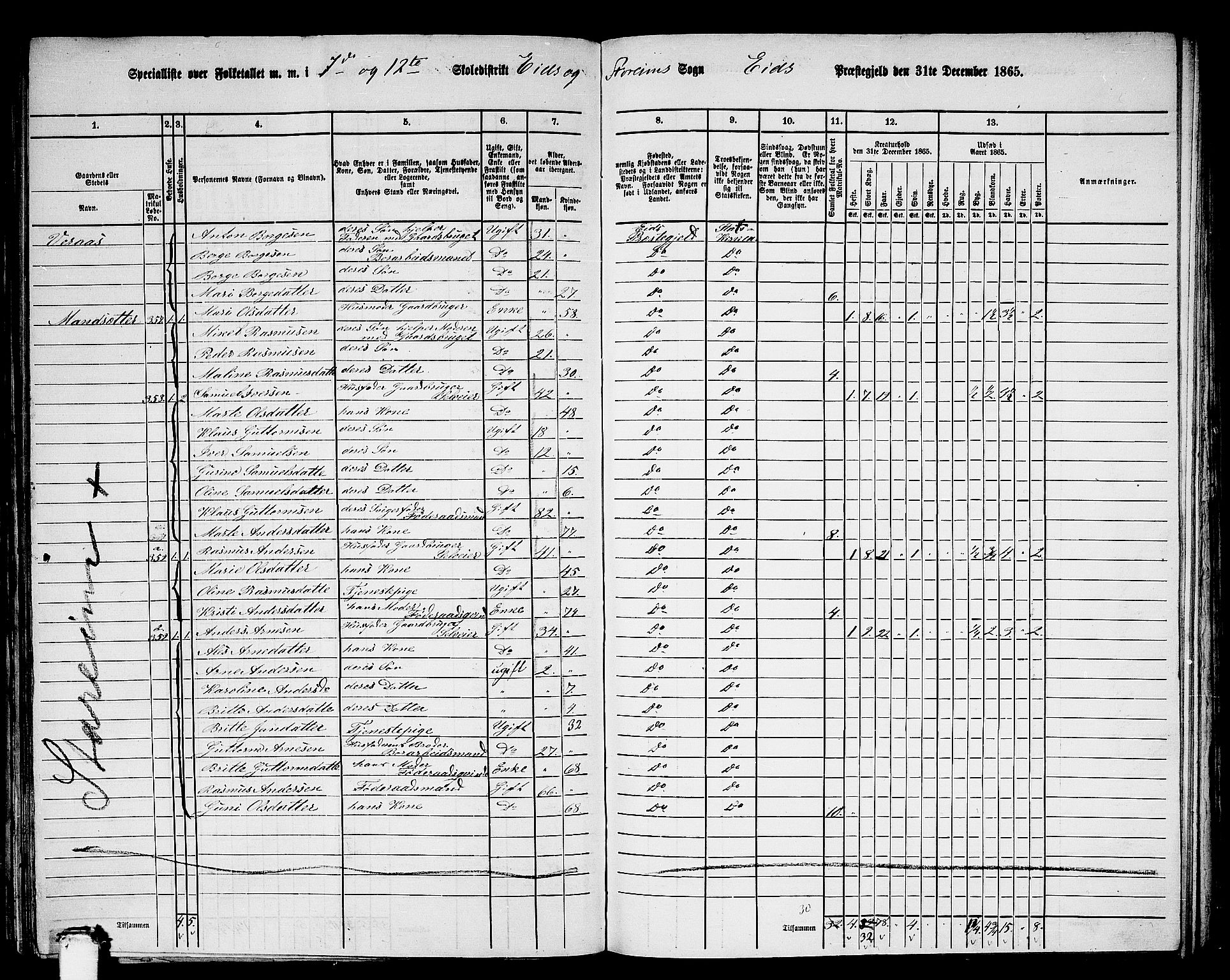 RA, 1865 census for Eid, 1865, p. 157