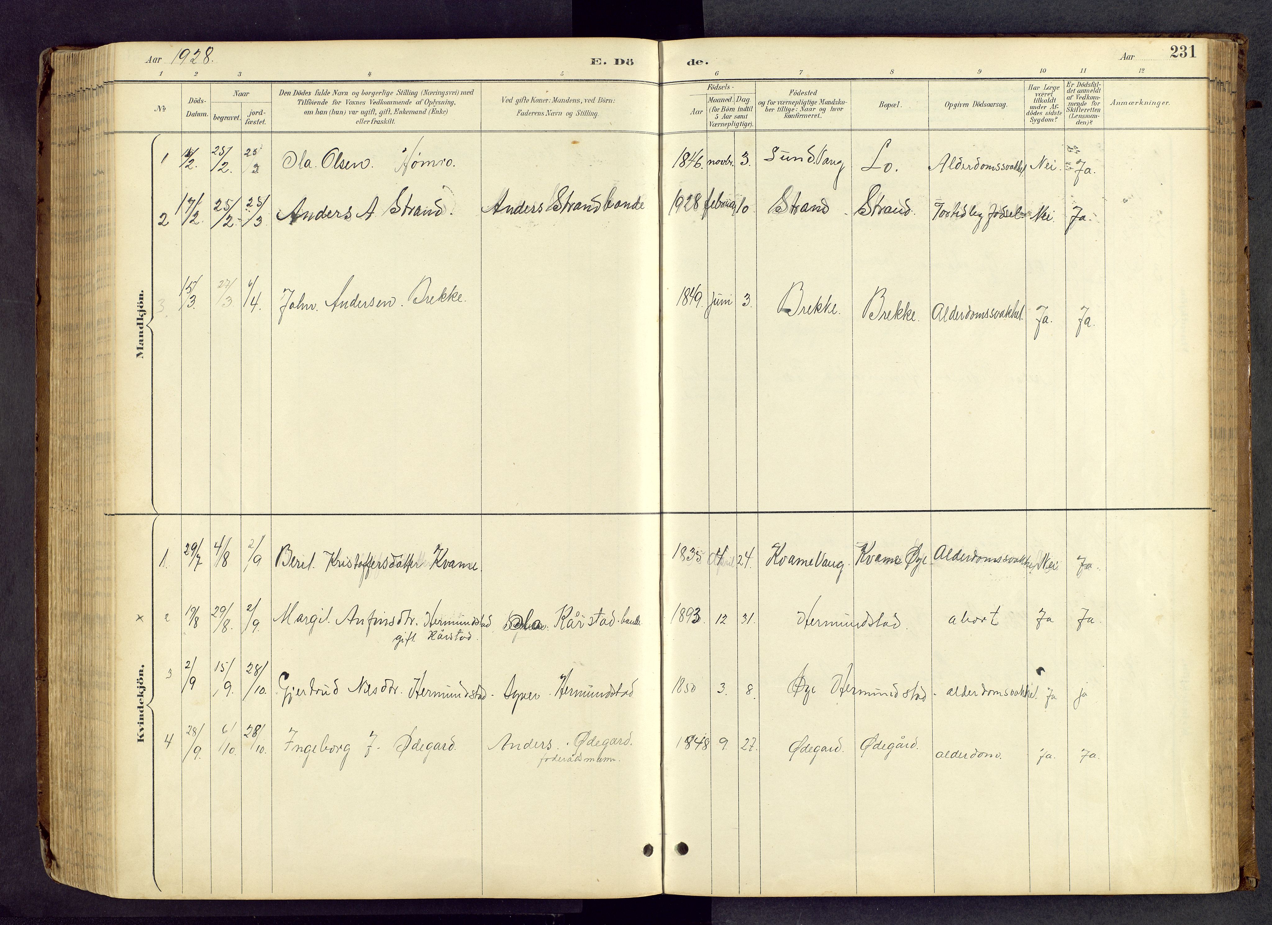 Vang prestekontor, Valdres, SAH/PREST-140/H/Hb/L0005: Parish register (copy) no. 5, 1889-1945, p. 231