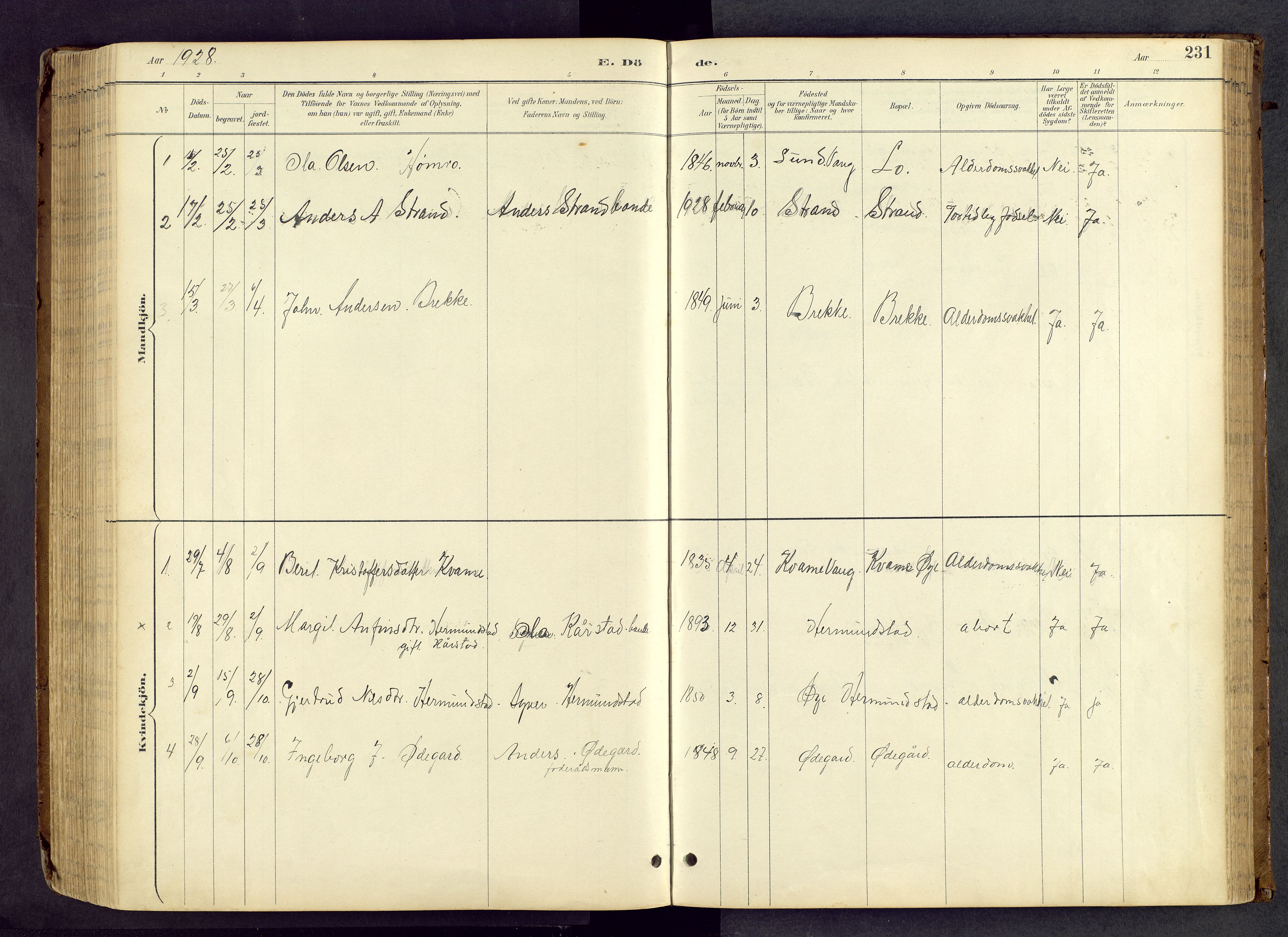 Vang prestekontor, Valdres, AV/SAH-PREST-140/H/Hb/L0005: Parish register (copy) no. 5, 1889-1945, p. 231