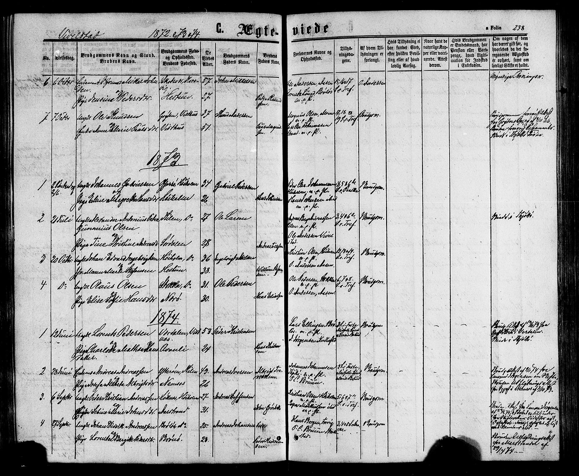 Ministerialprotokoller, klokkerbøker og fødselsregistre - Nordland, AV/SAT-A-1459/817/L0262: Parish register (official) no. 817A03 /2, 1867-1877, p. 238