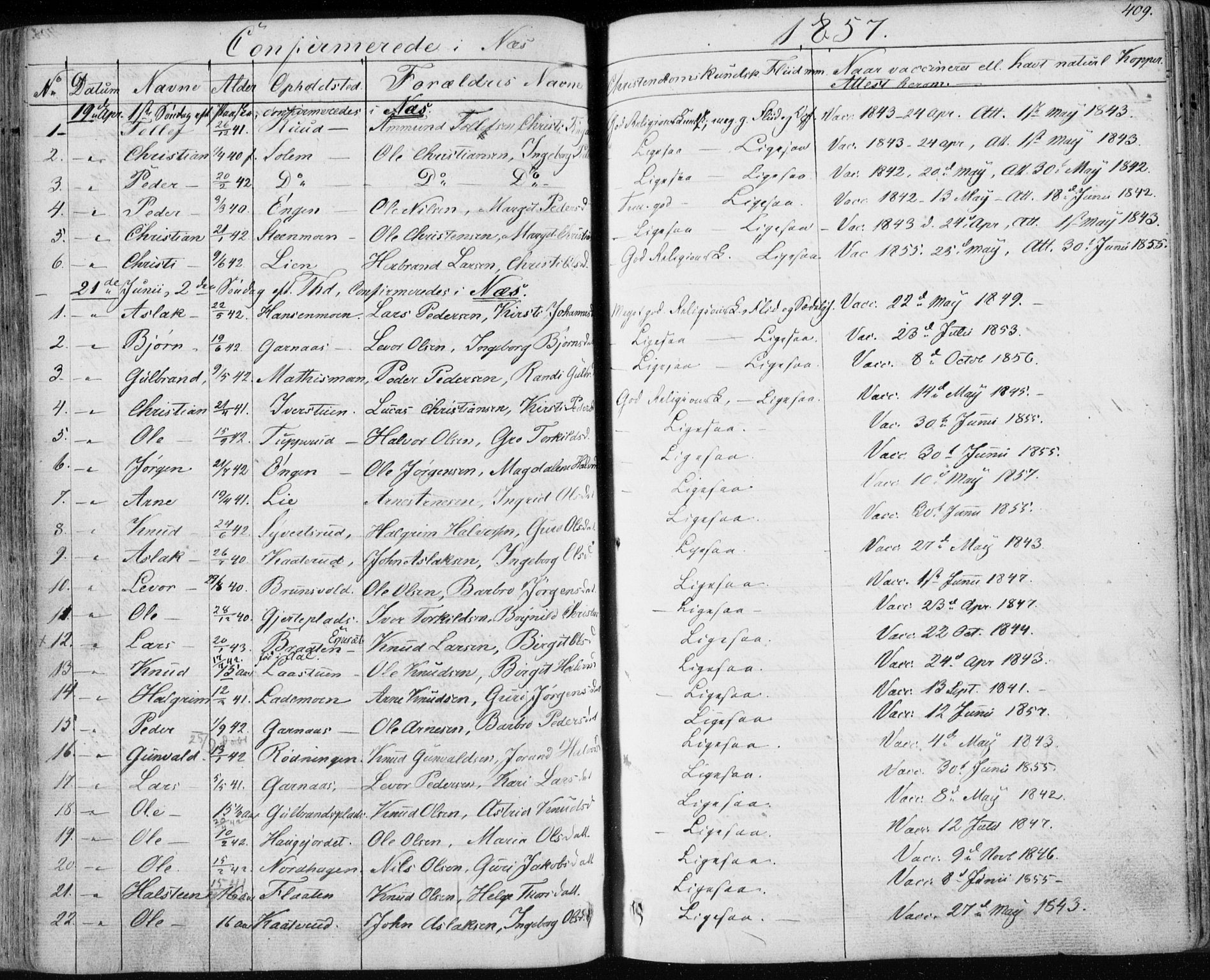 Nes kirkebøker, SAKO/A-236/F/Fa/L0009: Parish register (official) no. 9, 1834-1863, p. 409