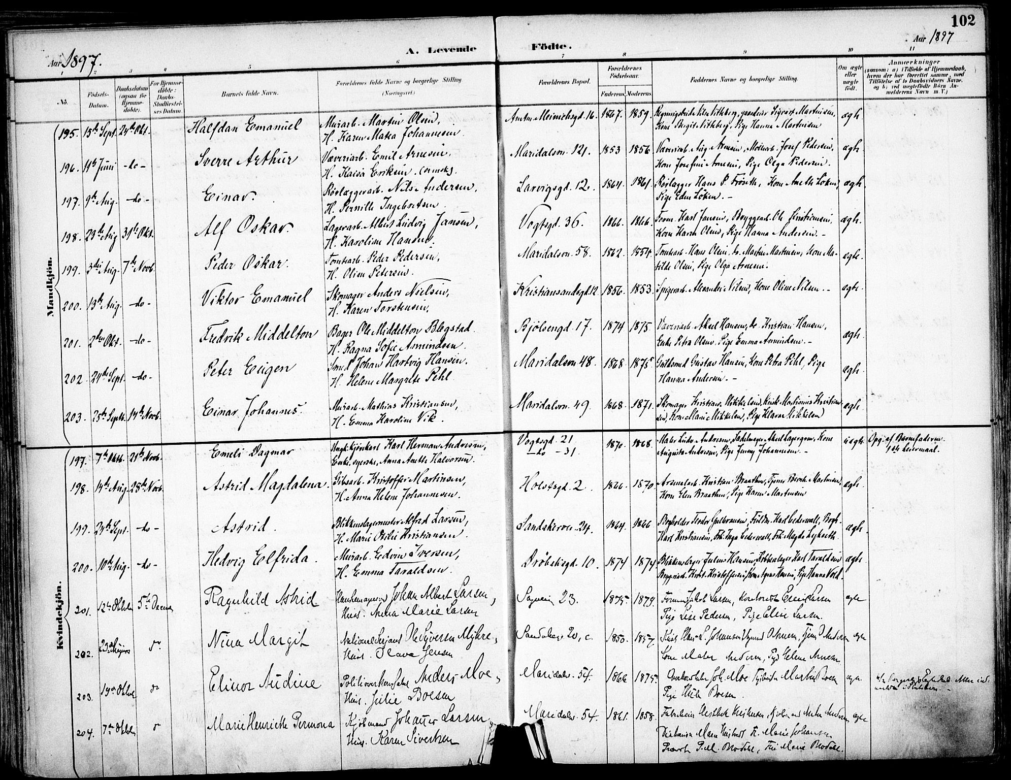 Sagene prestekontor Kirkebøker, SAO/A-10796/F/L0004: Parish register (official) no. 4, 1894-1904, p. 102