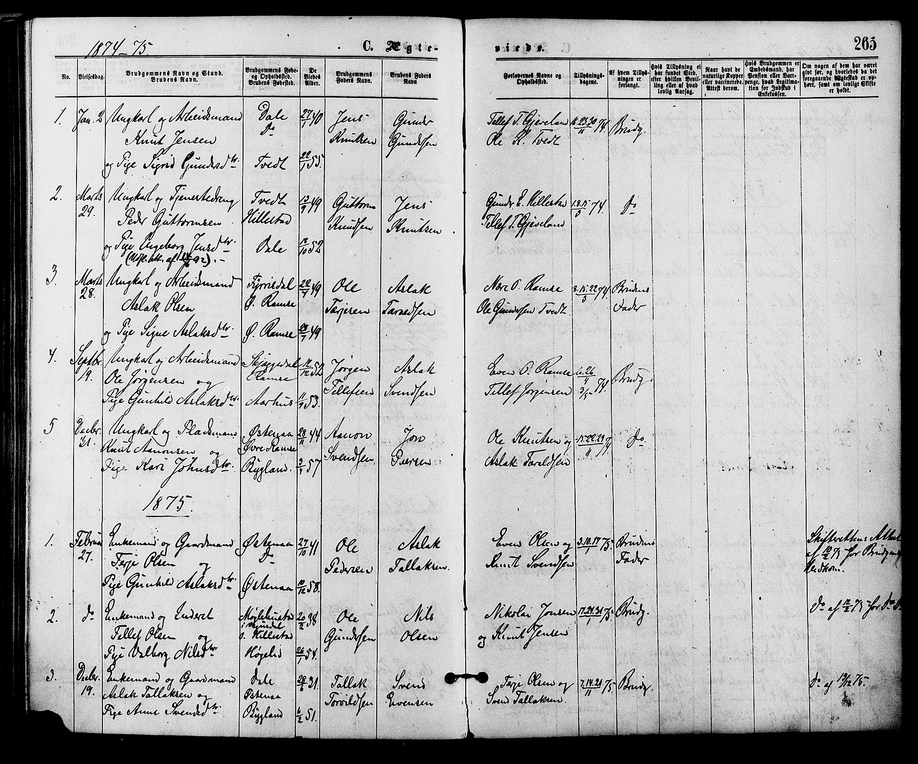 Åmli sokneprestkontor, SAK/1111-0050/F/Fa/Fac/L0009: Parish register (official) no. A 9 /3, 1869-1884, p. 265
