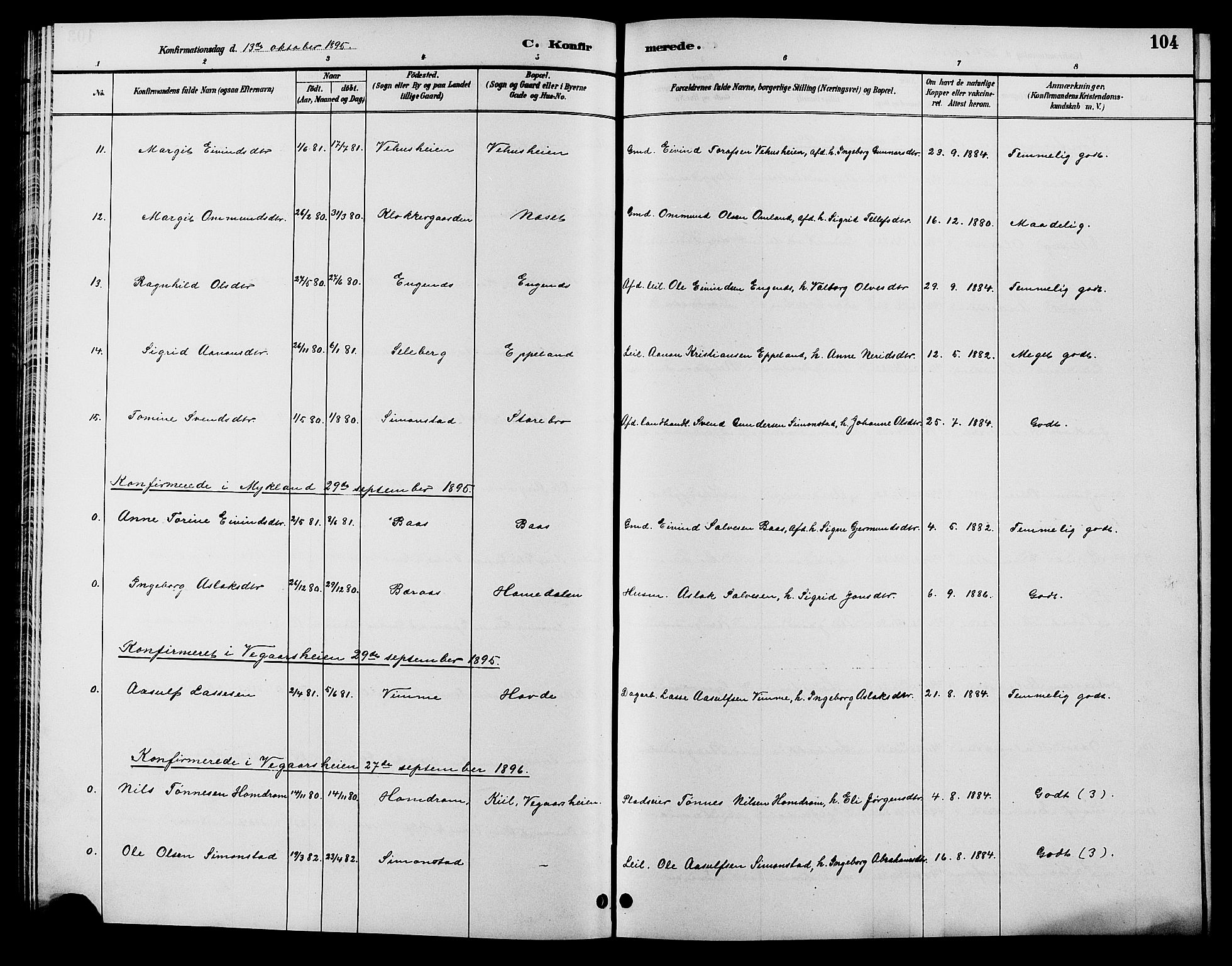 Åmli sokneprestkontor, SAK/1111-0050/F/Fb/Fbc/L0004: Parish register (copy) no. B 4, 1889-1902, p. 104