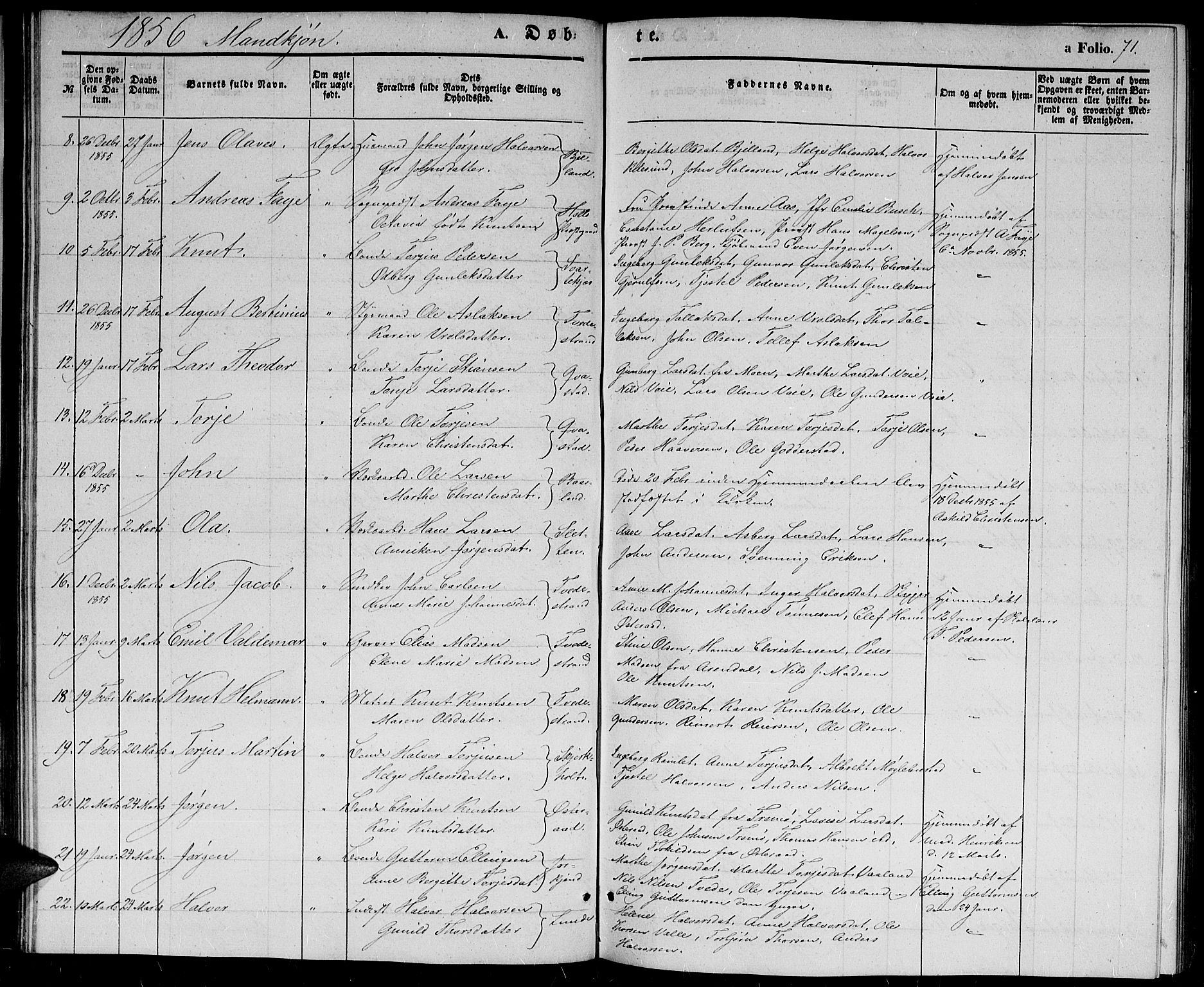 Holt sokneprestkontor, SAK/1111-0021/F/Fb/L0007: Parish register (copy) no. B 7, 1849-1858, p. 71