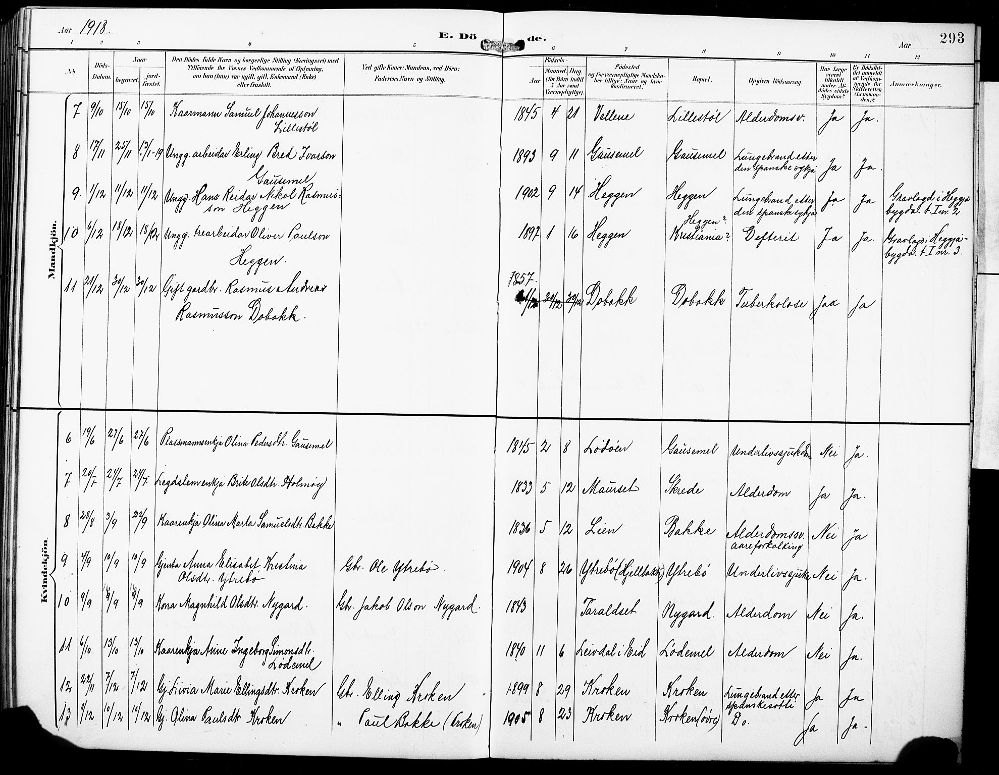Hornindal sokneprestembete, SAB/A-82401/H/Hab: Parish register (copy) no. A 2, 1894-1927, p. 293