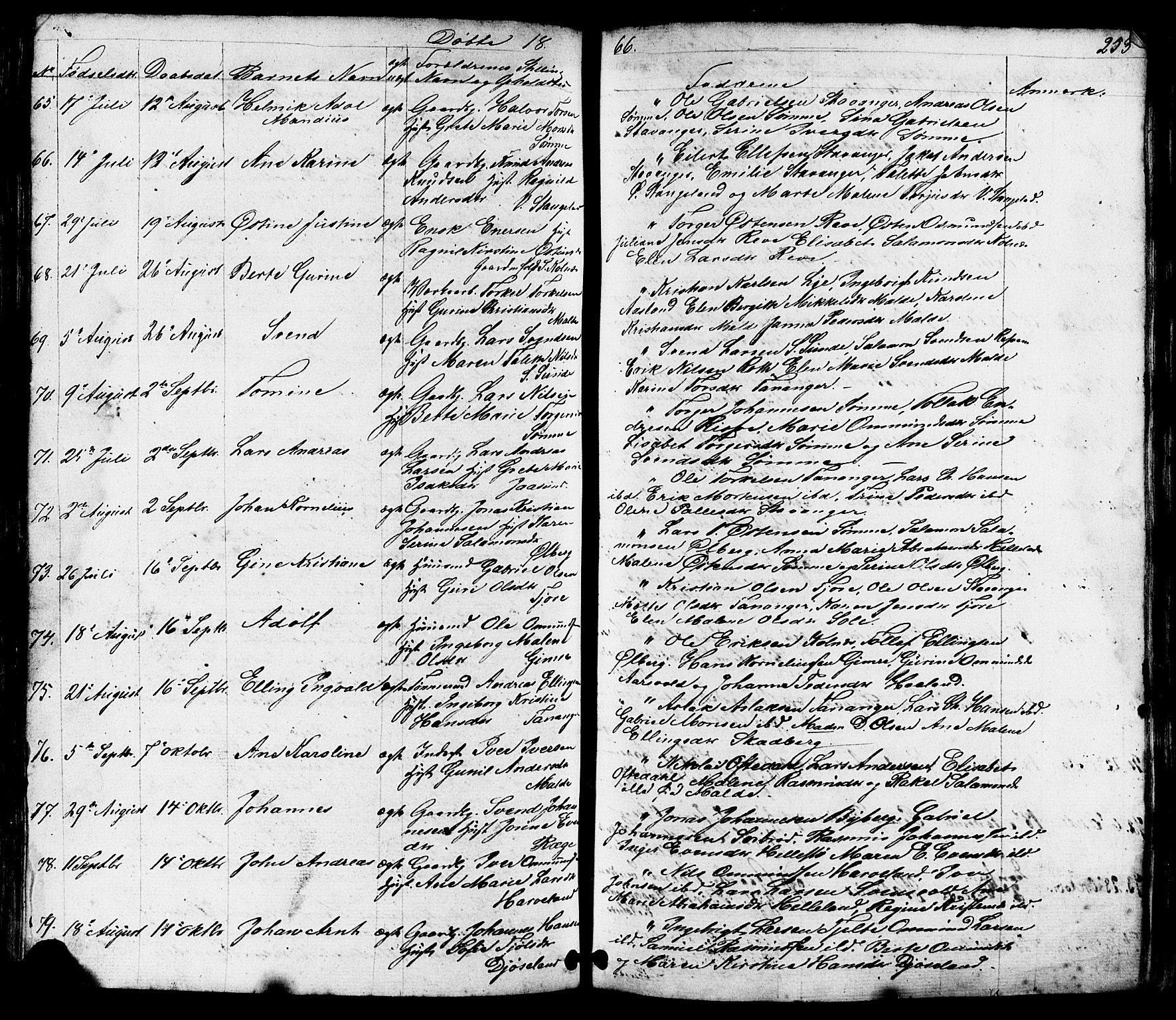 Håland sokneprestkontor, AV/SAST-A-101802/001/30BB/L0002: Parish register (copy) no. B 2, 1845-1872, p. 253