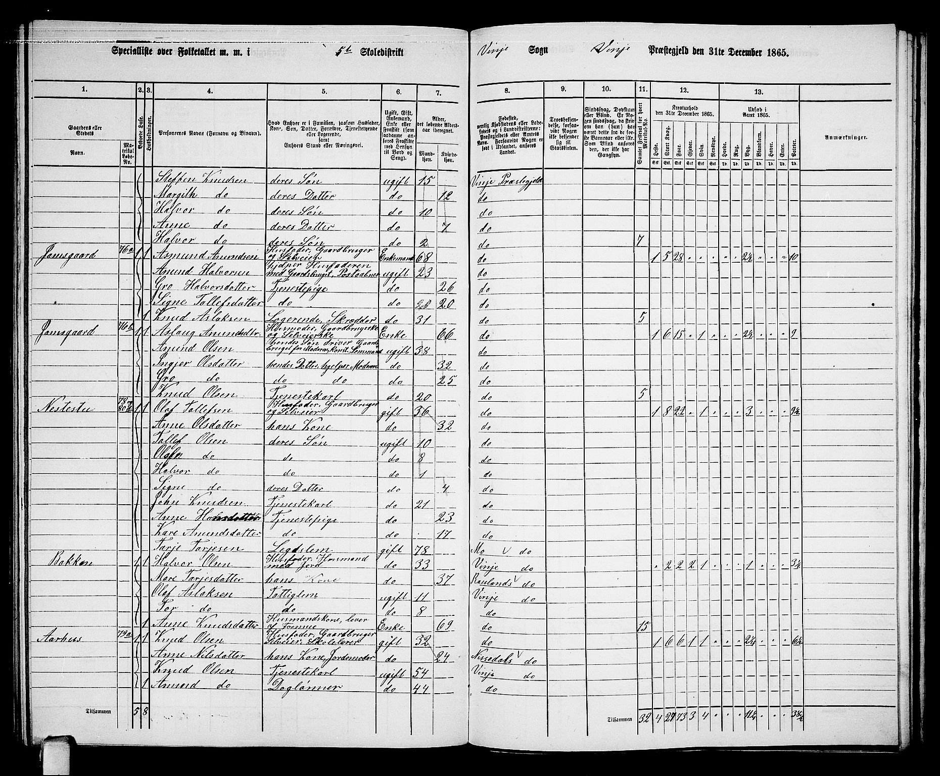 RA, 1865 census for Vinje, 1865, p. 48