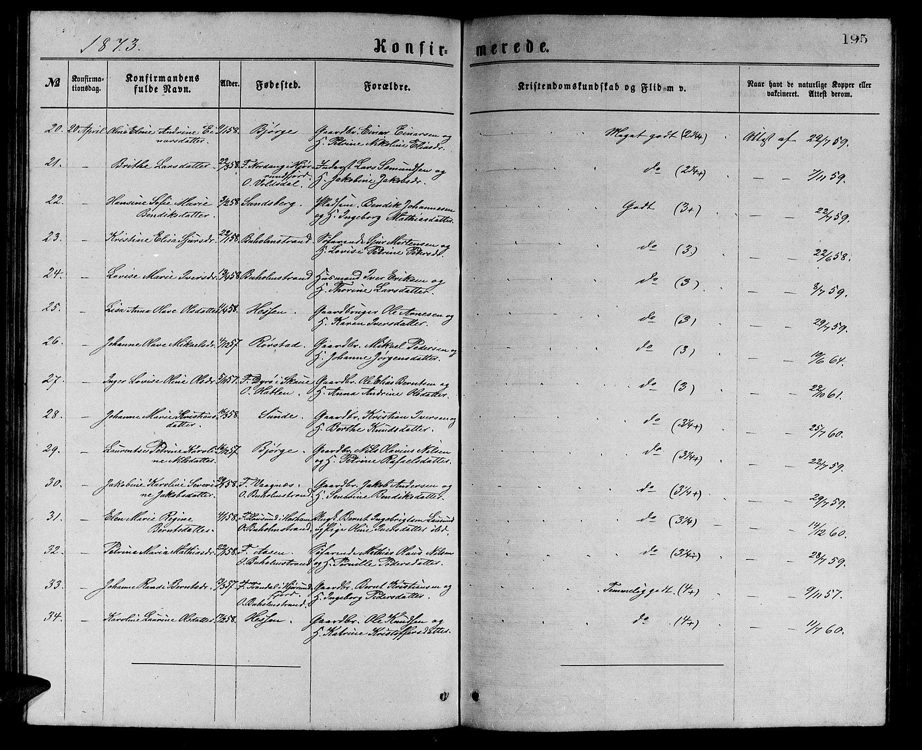 Ministerialprotokoller, klokkerbøker og fødselsregistre - Møre og Romsdal, AV/SAT-A-1454/528/L0429: Parish register (copy) no. 528C10, 1872-1886, p. 195