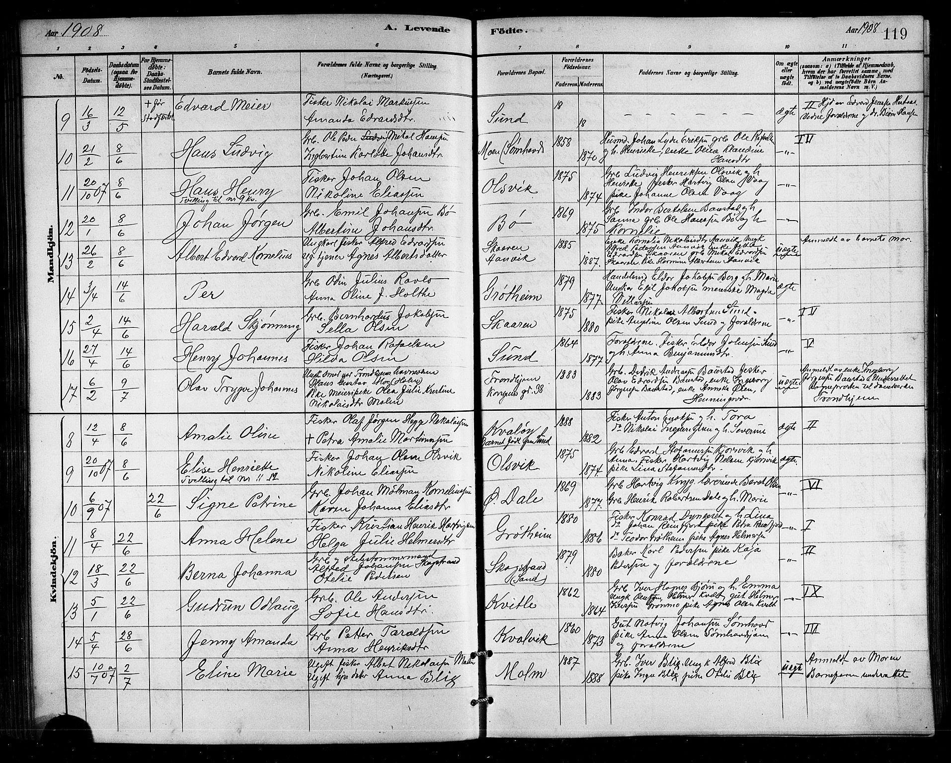 Ministerialprotokoller, klokkerbøker og fødselsregistre - Nordland, SAT/A-1459/812/L0188: Parish register (copy) no. 812C06, 1884-1912, p. 119