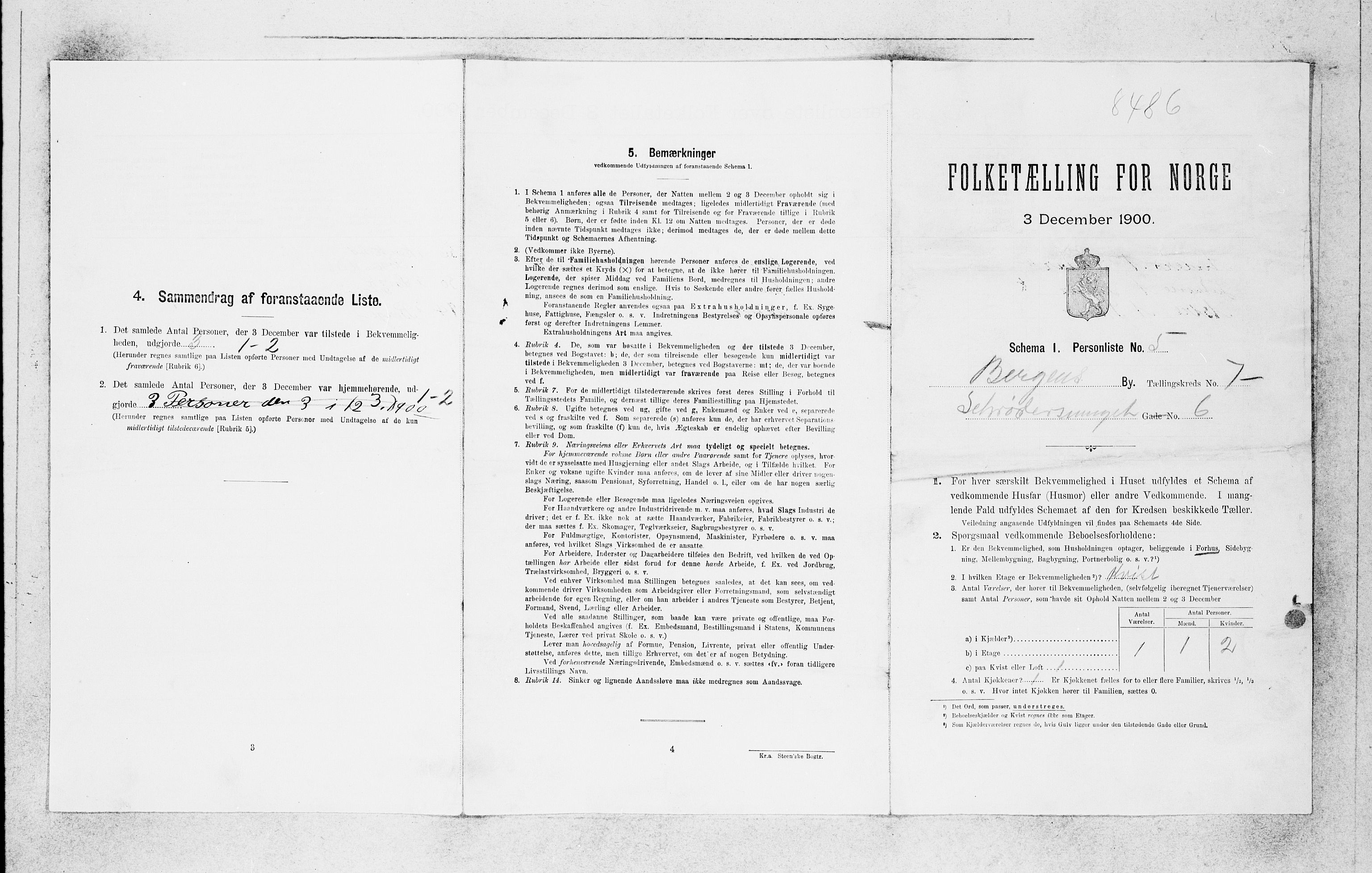 SAB, 1900 census for Bergen, 1900, p. 1141