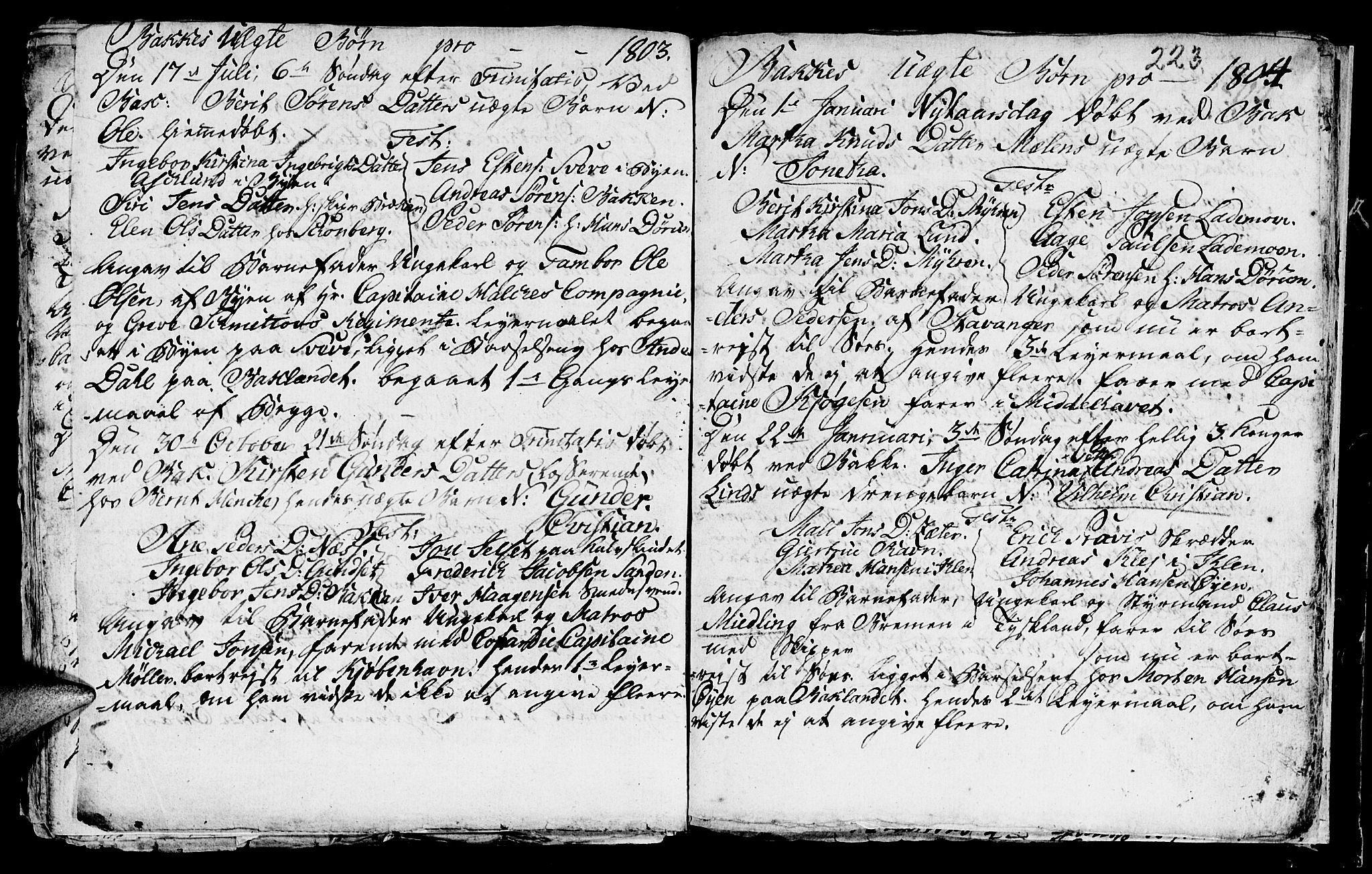Ministerialprotokoller, klokkerbøker og fødselsregistre - Sør-Trøndelag, SAT/A-1456/604/L0218: Parish register (copy) no. 604C01, 1754-1819, p. 223