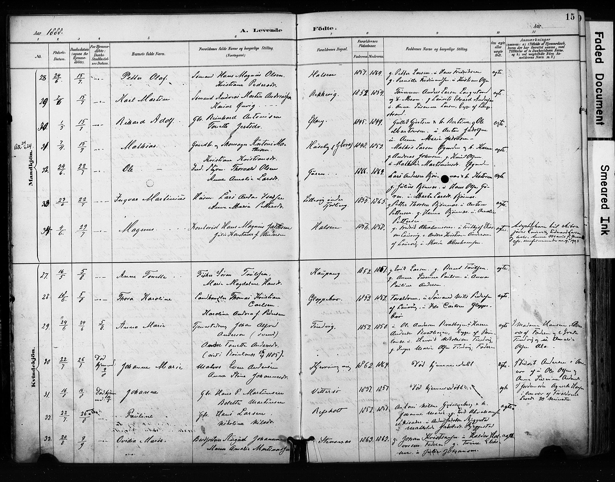 Tjølling kirkebøker, AV/SAKO-A-60/F/Fa/L0009: Parish register (official) no. 9, 1887-1905, p. 15