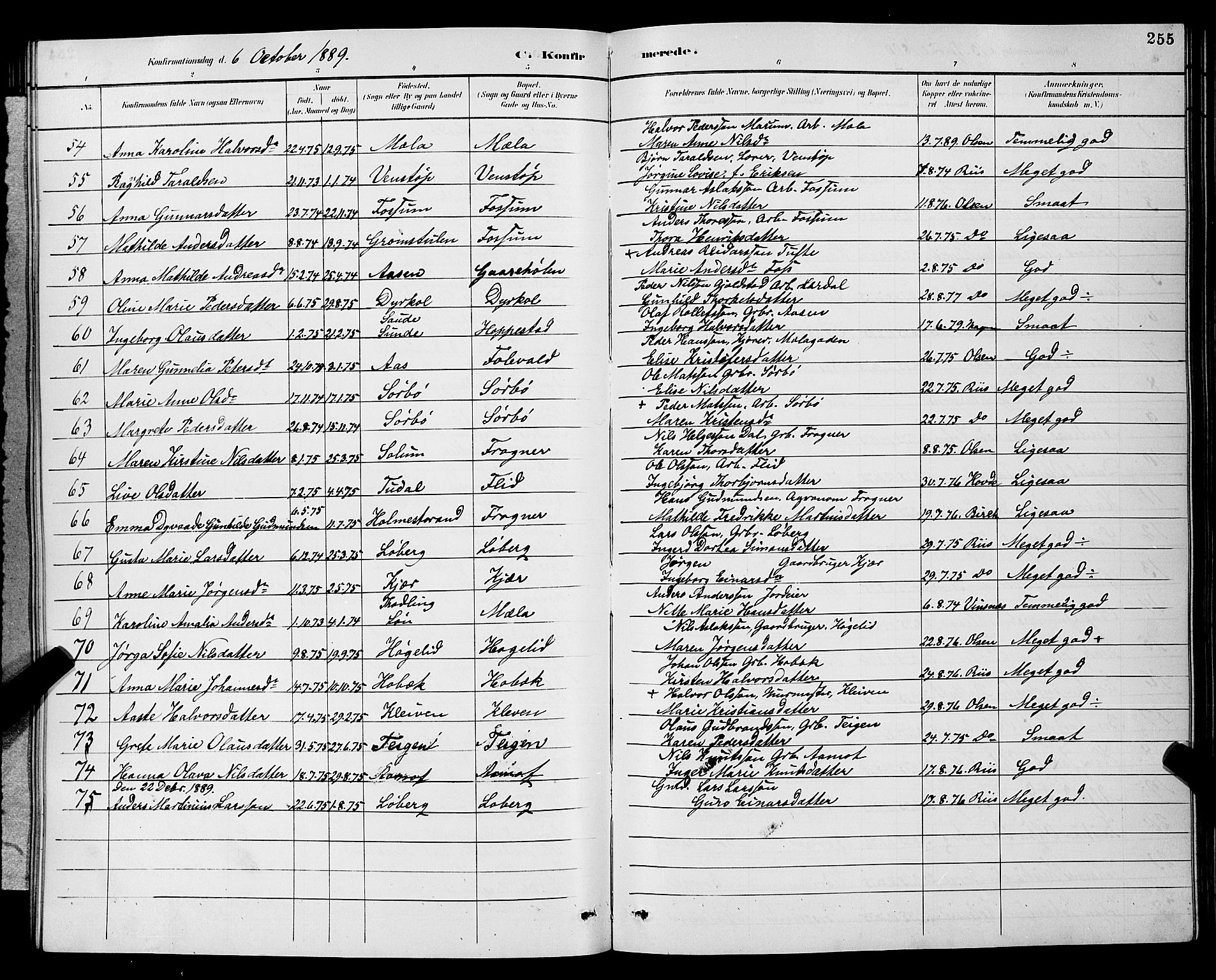 Gjerpen kirkebøker, SAKO/A-265/G/Ga/L0002: Parish register (copy) no. I 2, 1883-1900, p. 255