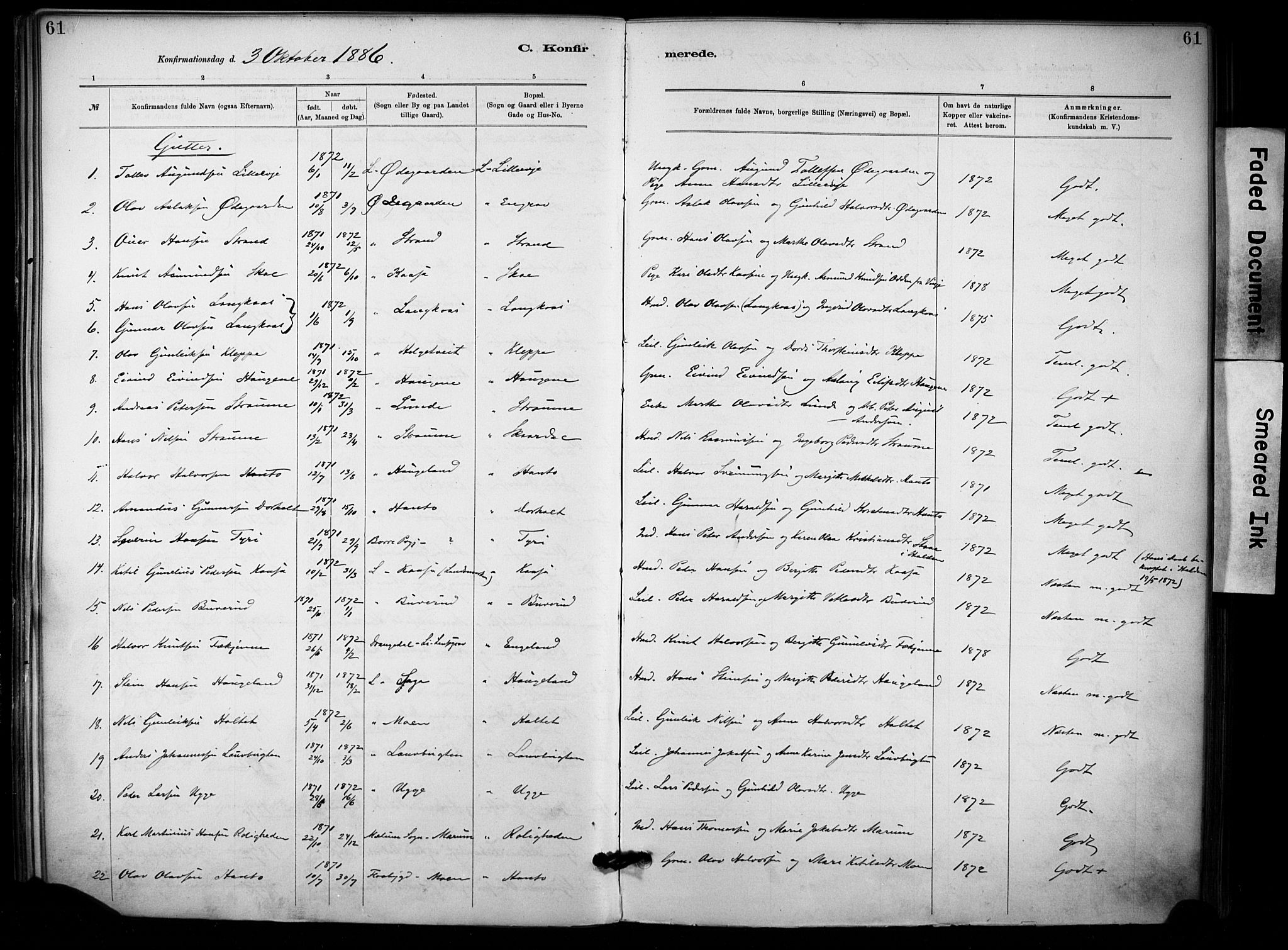 Lunde kirkebøker, SAKO/A-282/F/Fa/L0002: Parish register (official) no. I 2, 1884-1892, p. 61