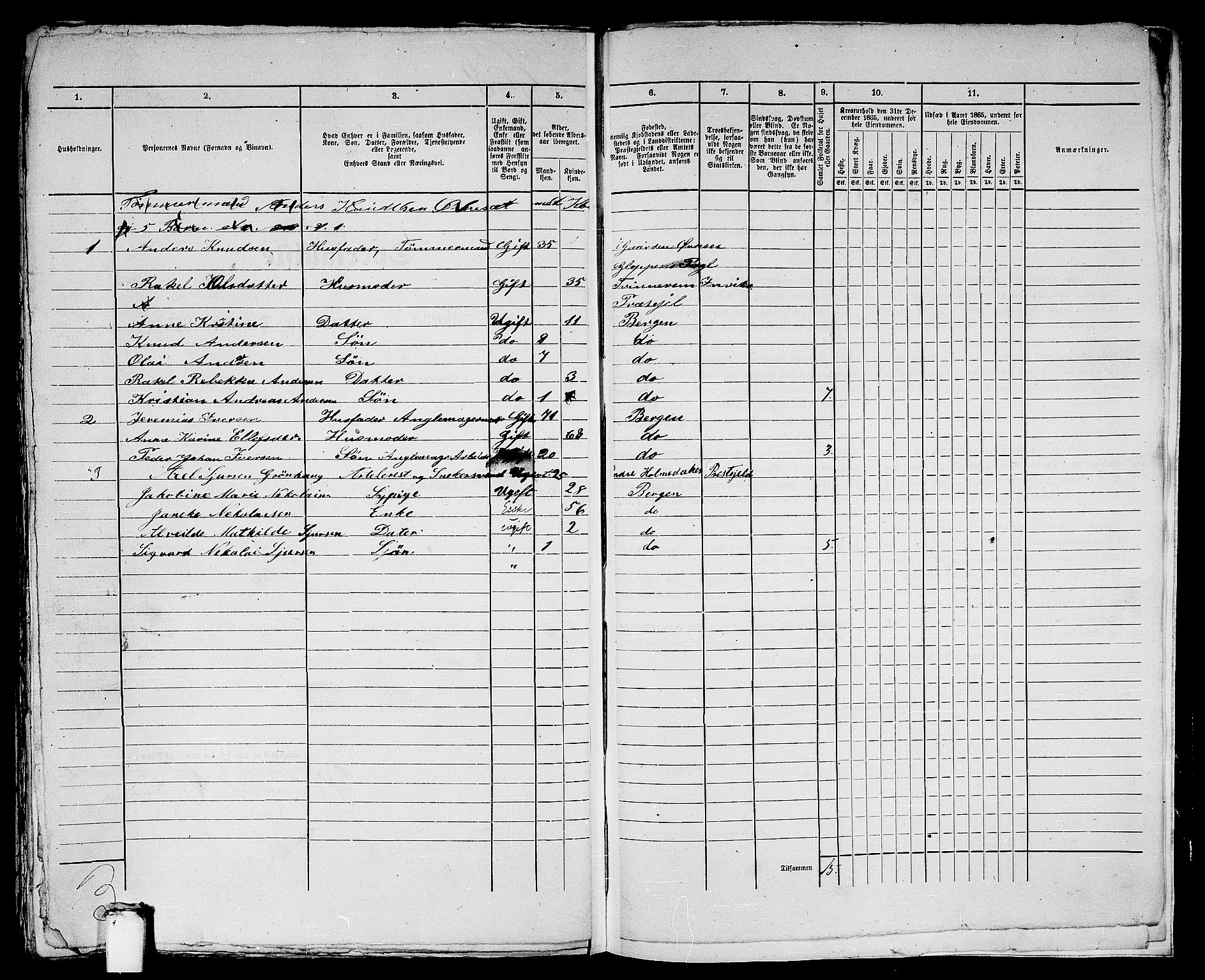 RA, 1865 census for Bergen, 1865, p. 2055