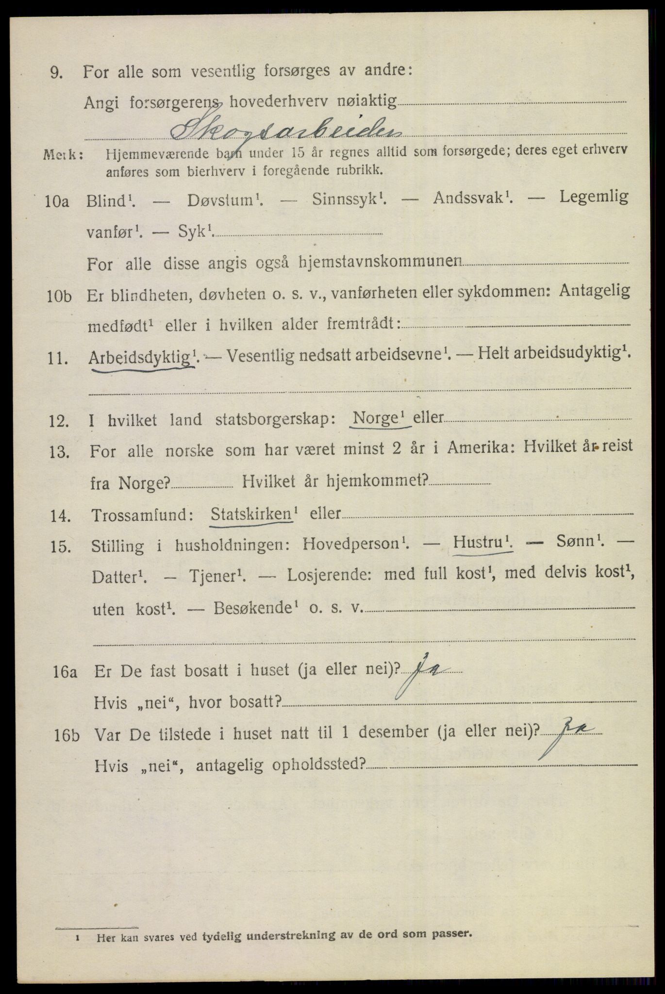 SAKO, 1920 census for Hole, 1920, p. 3532