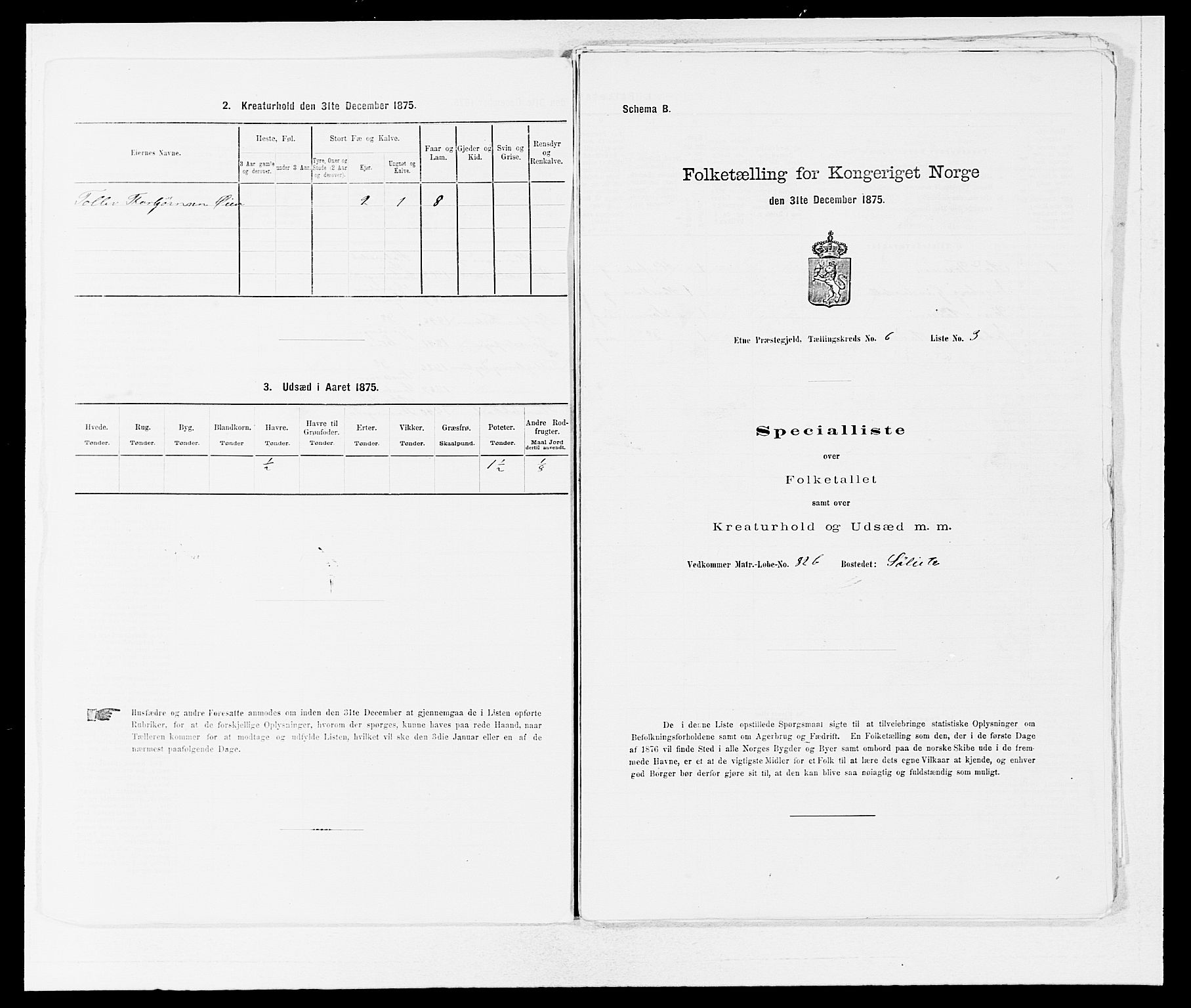 SAB, 1875 census for 1211P Etne, 1875, p. 401