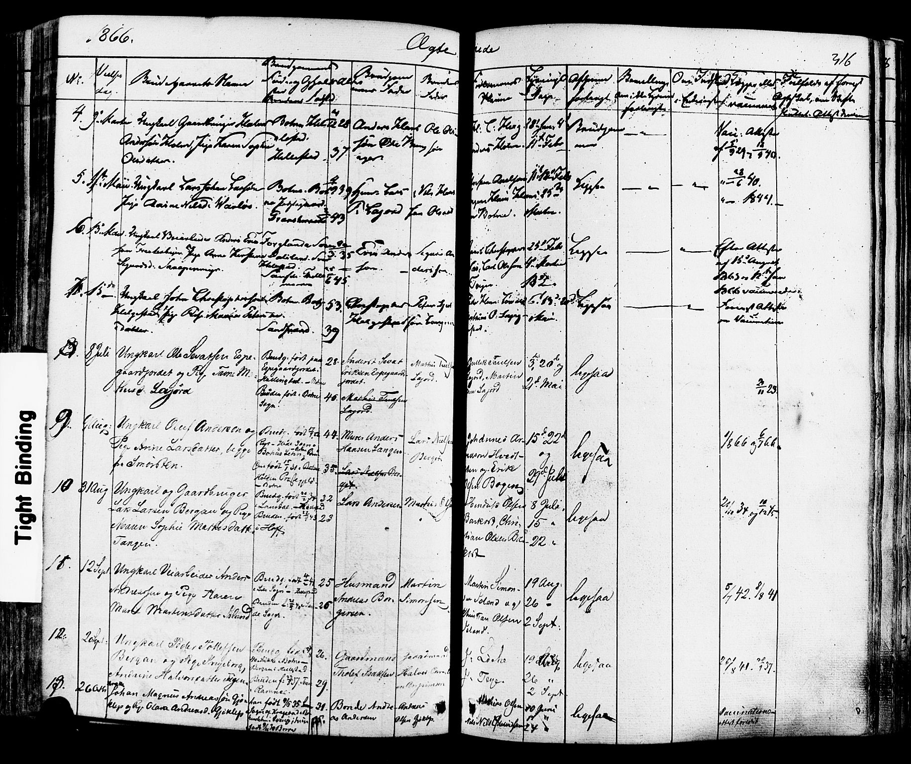 Botne kirkebøker, AV/SAKO-A-340/F/Fa/L0006: Parish register (official) no. I 6, 1836-1877, p. 316