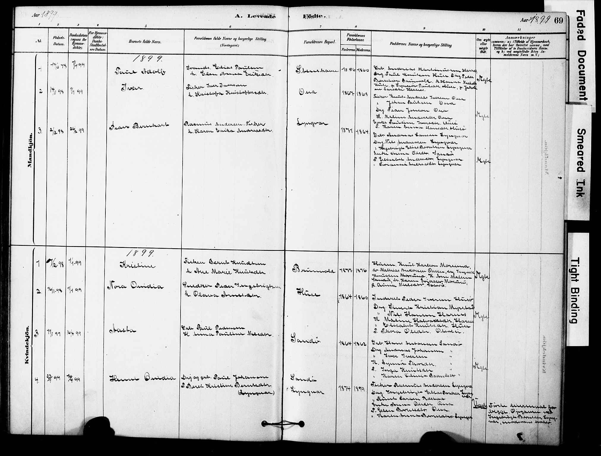 Ministerialprotokoller, klokkerbøker og fødselsregistre - Møre og Romsdal, AV/SAT-A-1454/561/L0729: Parish register (official) no. 561A03, 1878-1900, p. 69