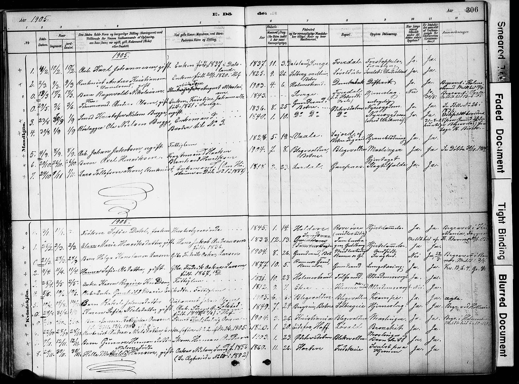 Botne kirkebøker, AV/SAKO-A-340/F/Fa/L0007: Parish register (official) no. I 7, 1878-1910, p. 306