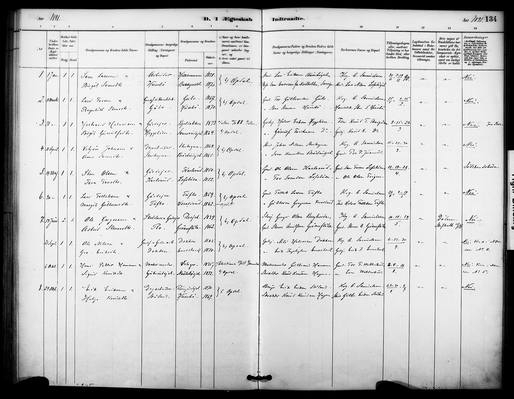 Nore kirkebøker, SAKO/A-238/F/Fc/L0004: Parish register (official) no. III 4, 1885-1898, p. 134