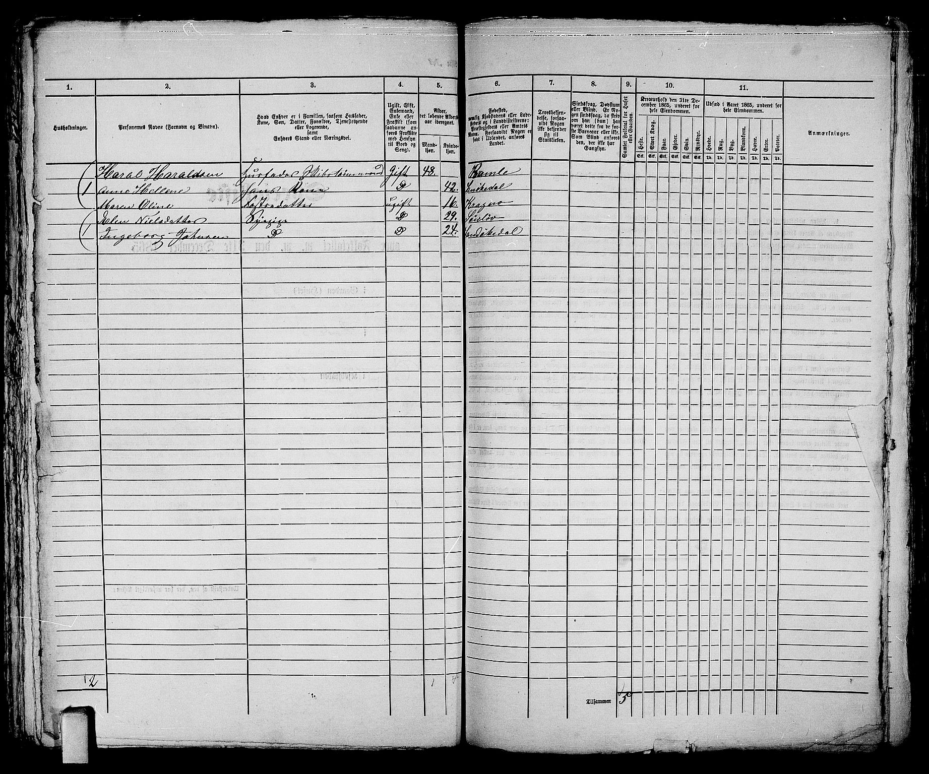 RA, 1865 census for Kragerø/Kragerø, 1865, p. 495