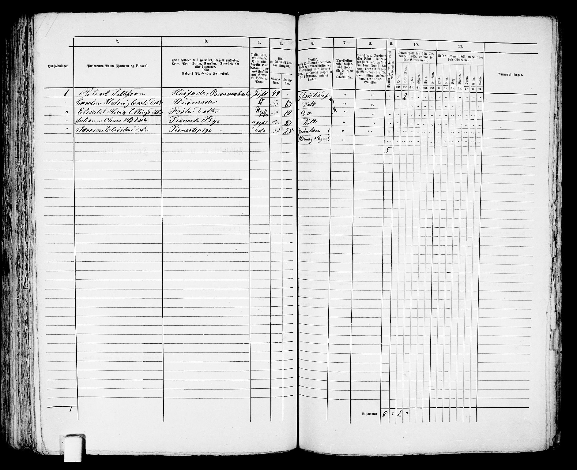 RA, 1865 census for Kristiansand, 1865, p. 341