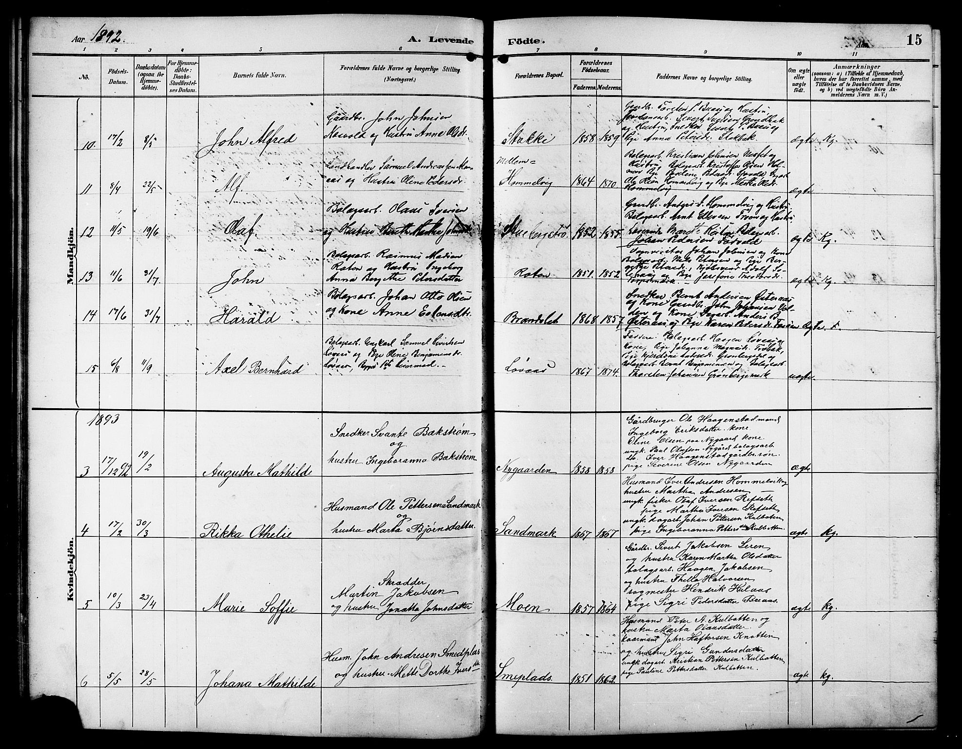 Ministerialprotokoller, klokkerbøker og fødselsregistre - Sør-Trøndelag, SAT/A-1456/617/L0431: Parish register (copy) no. 617C01, 1889-1910, p. 15