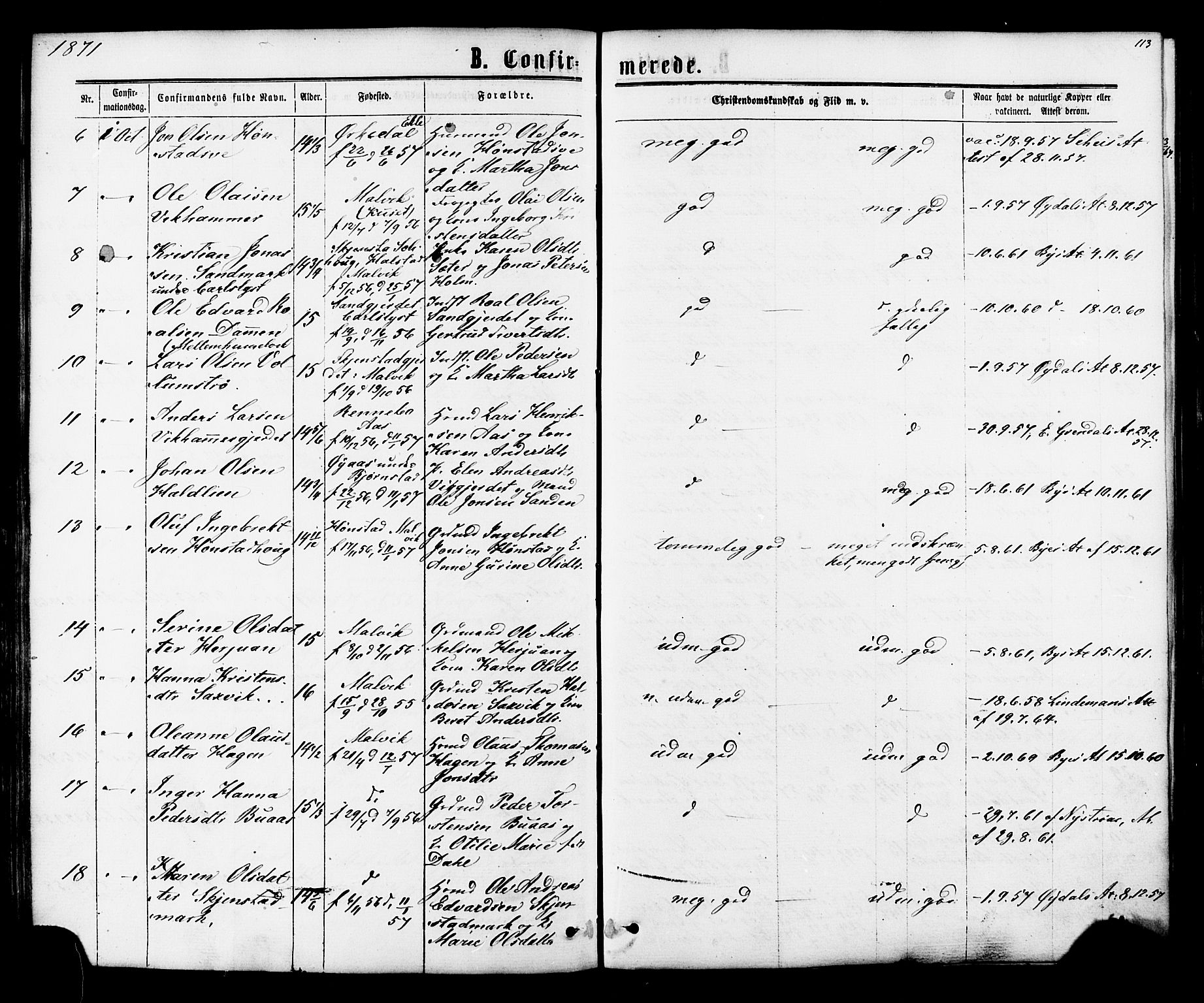 Ministerialprotokoller, klokkerbøker og fødselsregistre - Sør-Trøndelag, SAT/A-1456/616/L0409: Parish register (official) no. 616A06, 1865-1877, p. 113