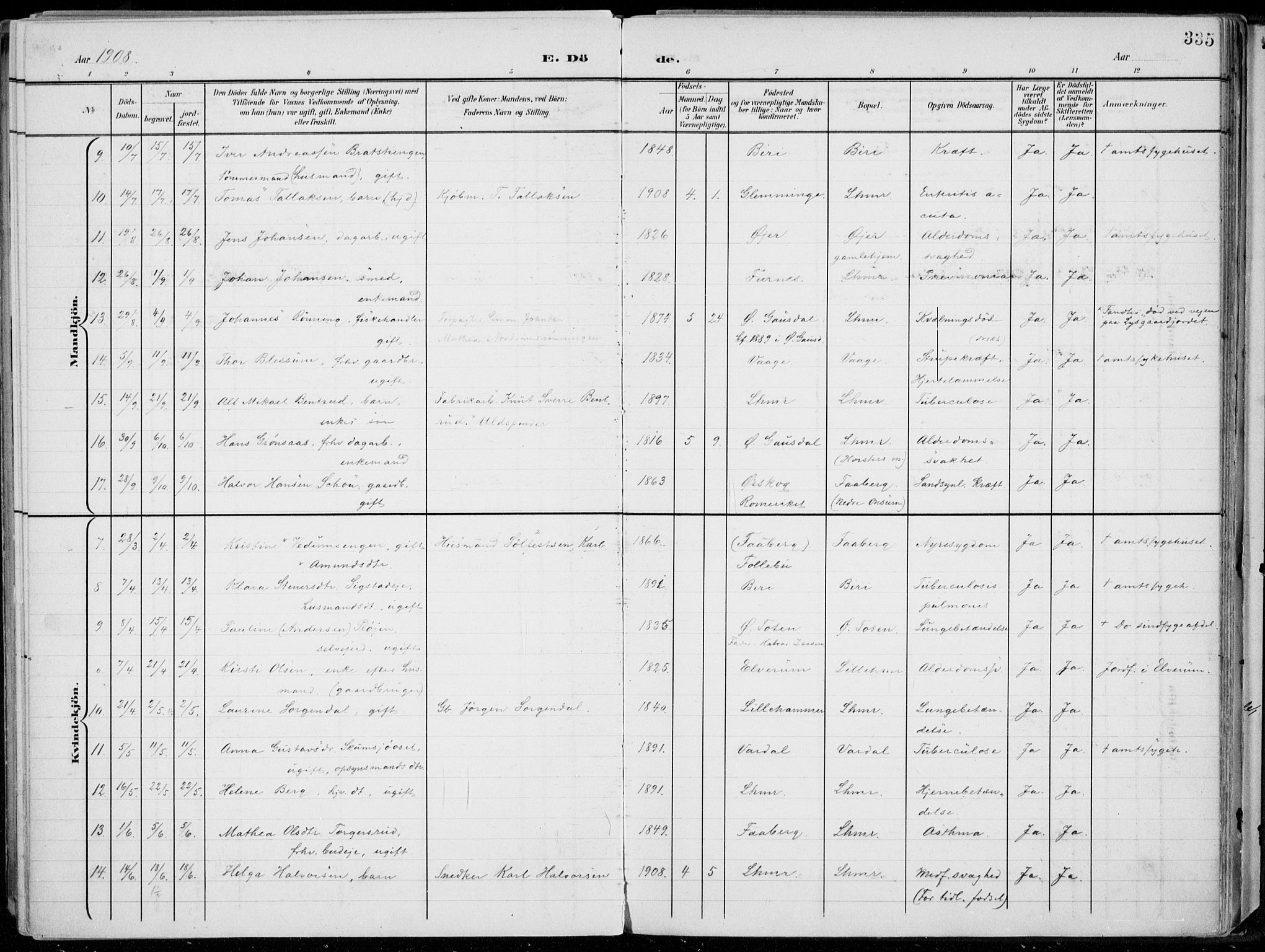 Lillehammer prestekontor, AV/SAH-PREST-088/H/Ha/Haa/L0001: Parish register (official) no. 1, 1901-1916, p. 335