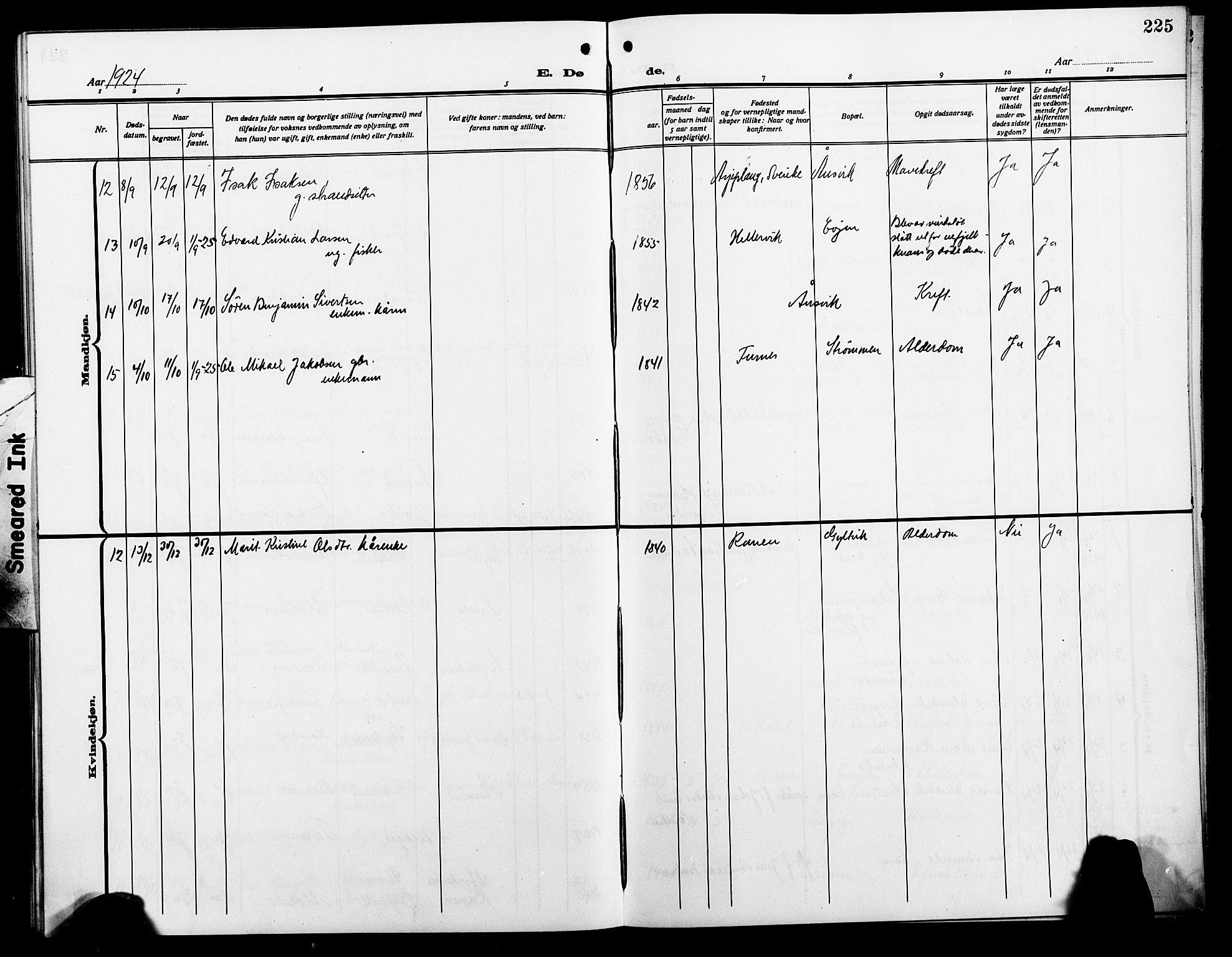 Ministerialprotokoller, klokkerbøker og fødselsregistre - Nordland, AV/SAT-A-1459/854/L0787: Parish register (copy) no. 854C03, 1913-1926, p. 225