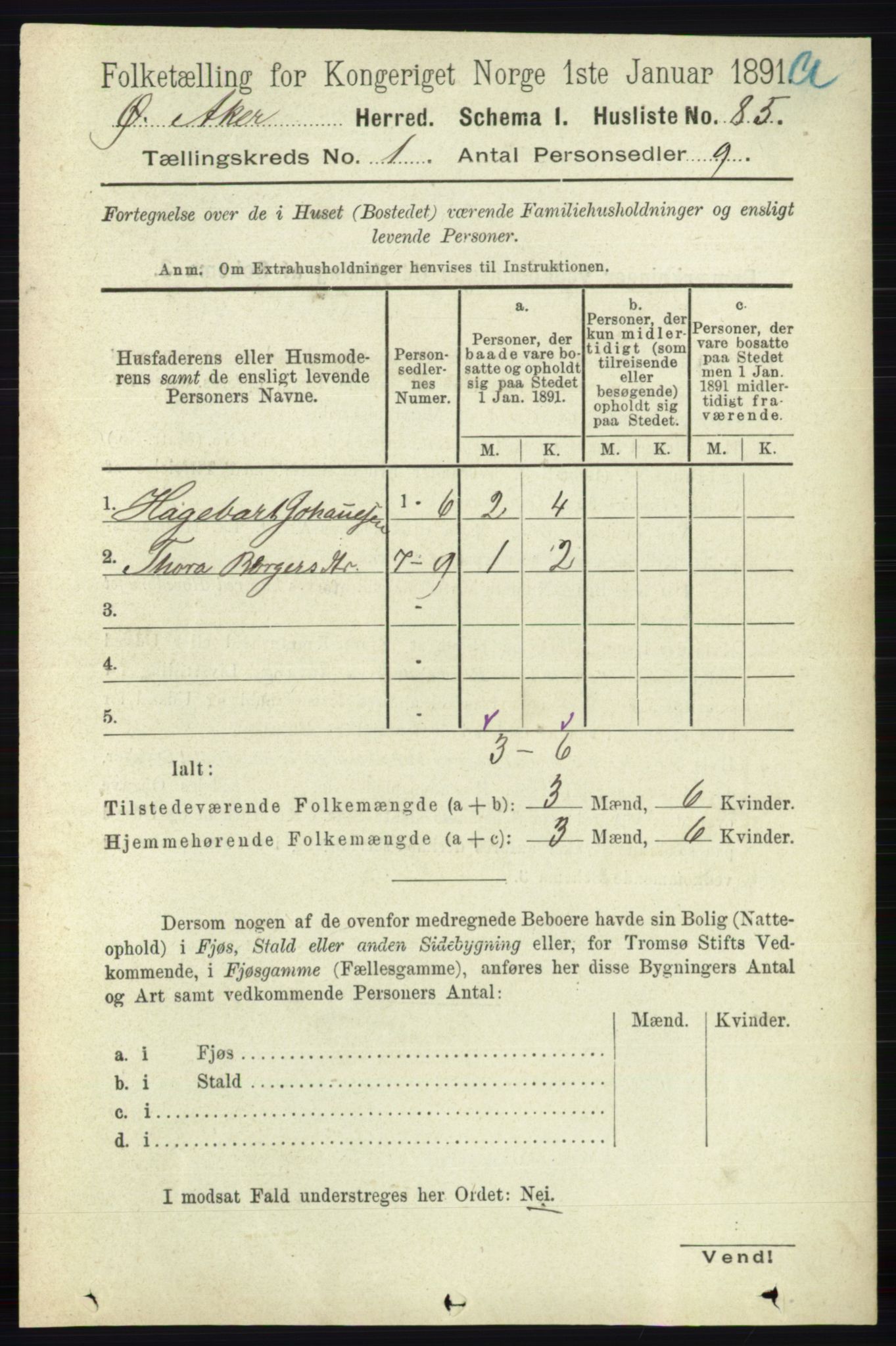 RA, 1891 census for 0218 Aker, 1891, p. 145