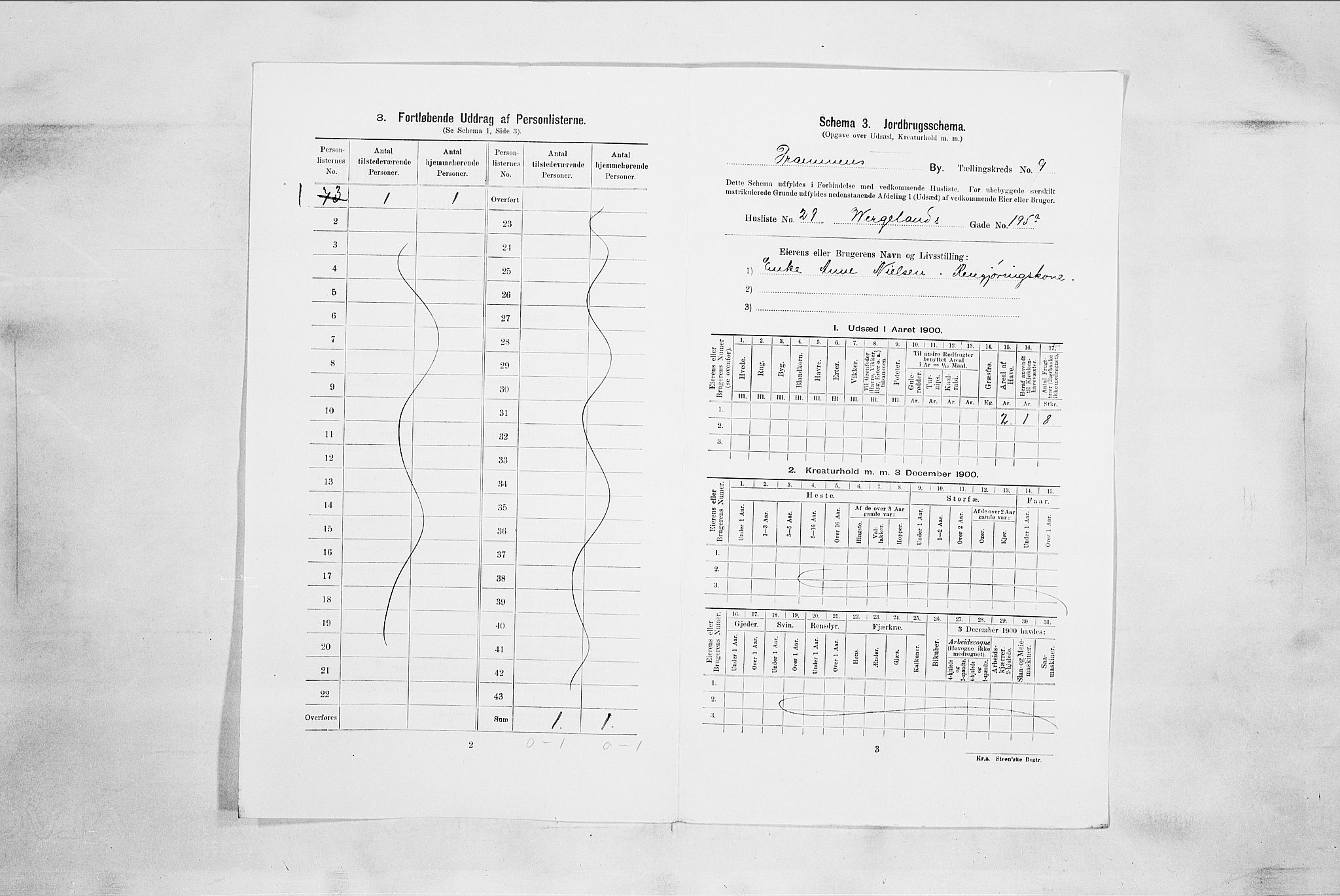 RA, 1900 census for Drammen, 1900, p. 1992