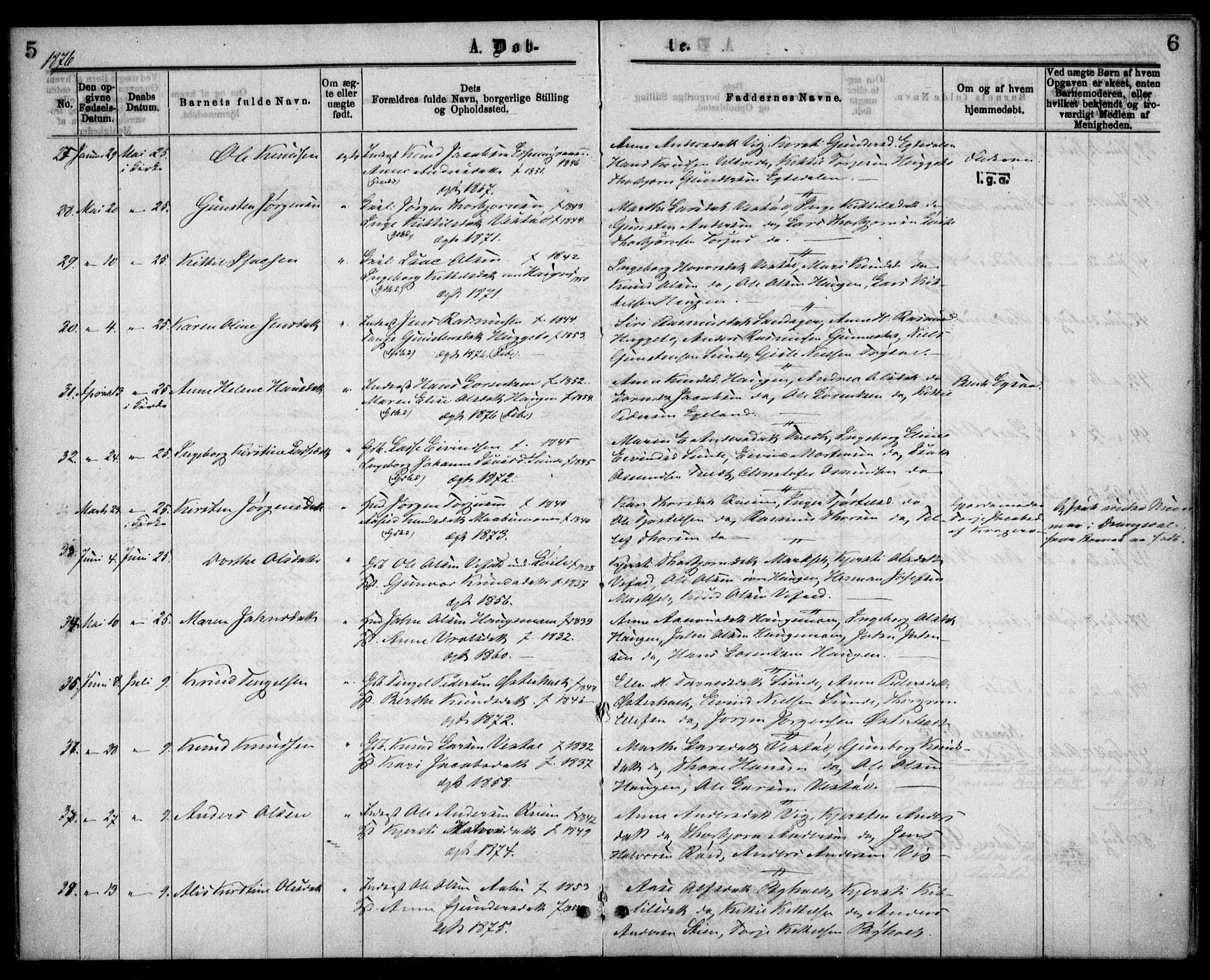 Gjerstad sokneprestkontor, AV/SAK-1111-0014/F/Fa/Faa/L0008: Parish register (official) no. A 8, 1876-1884, p. 5-6