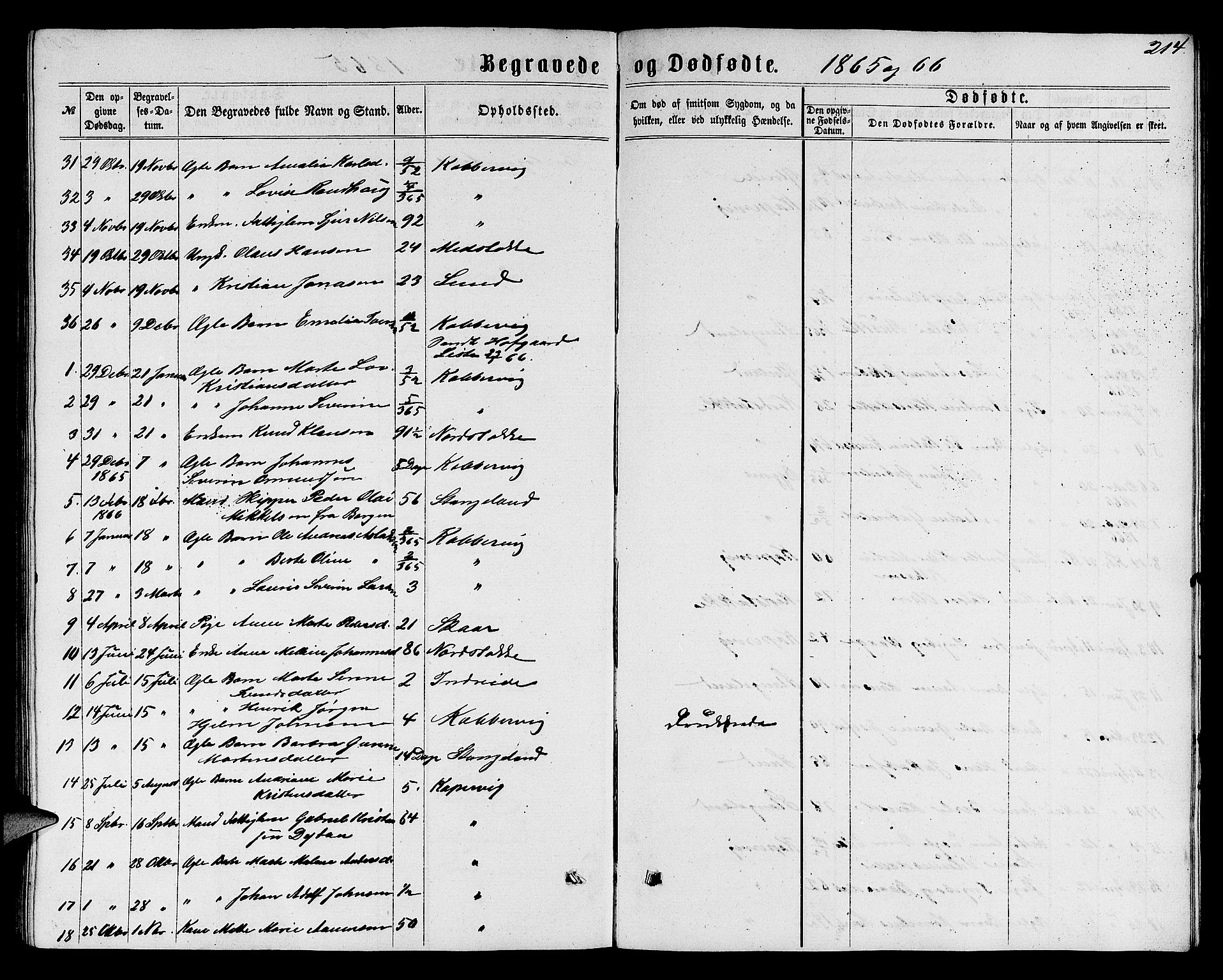 Avaldsnes sokneprestkontor, SAST/A -101851/H/Ha/Hab/L0004: Parish register (copy) no. B 4, 1861-1876, p. 214