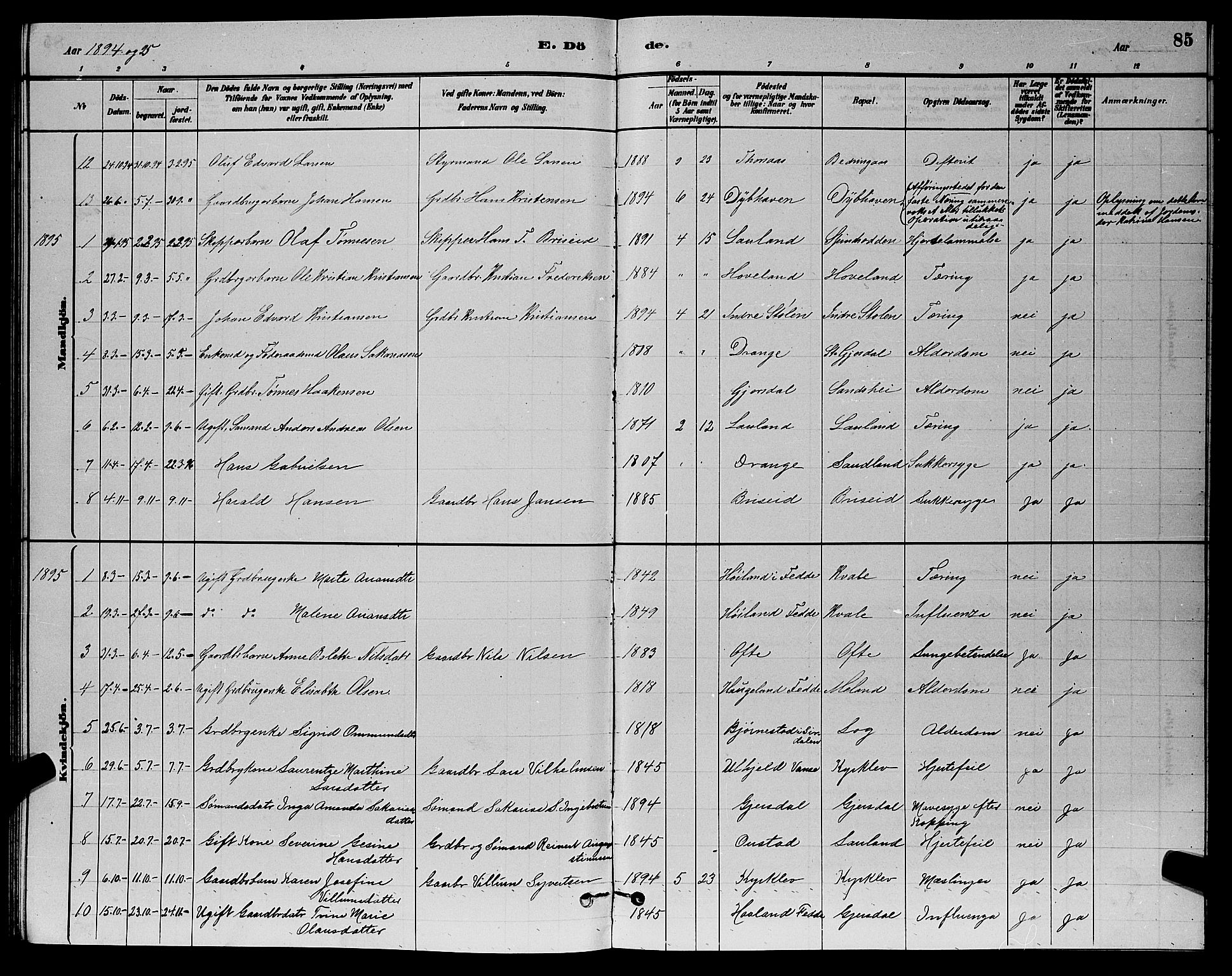 Herad sokneprestkontor, AV/SAK-1111-0018/F/Fb/Fba/L0004: Parish register (copy) no. B 4, 1882-1899, p. 85