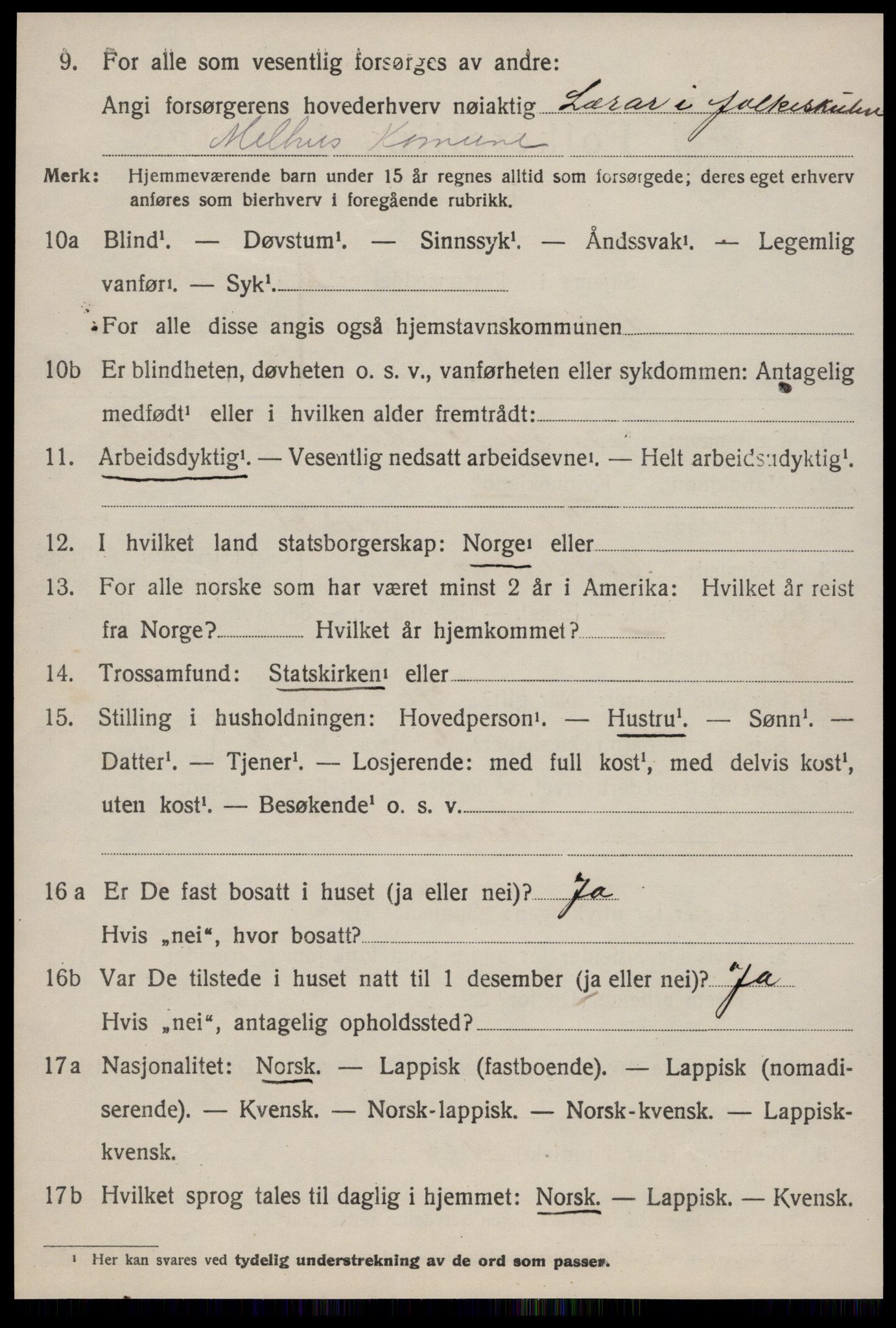 SAT, 1920 census for Melhus, 1920, p. 2596