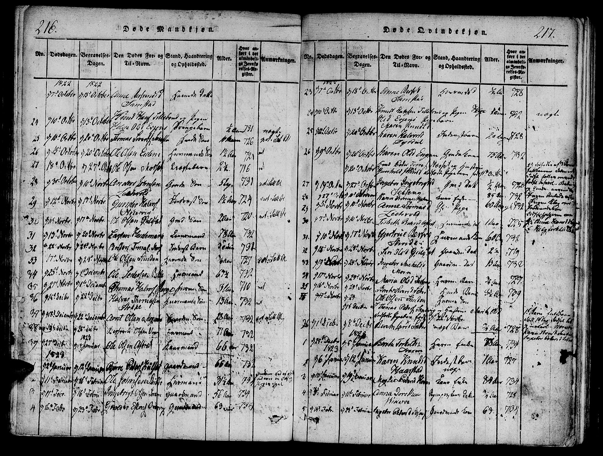 Ministerialprotokoller, klokkerbøker og fødselsregistre - Sør-Trøndelag, SAT/A-1456/695/L1141: Parish register (official) no. 695A04 /1, 1816-1824, p. 216-217