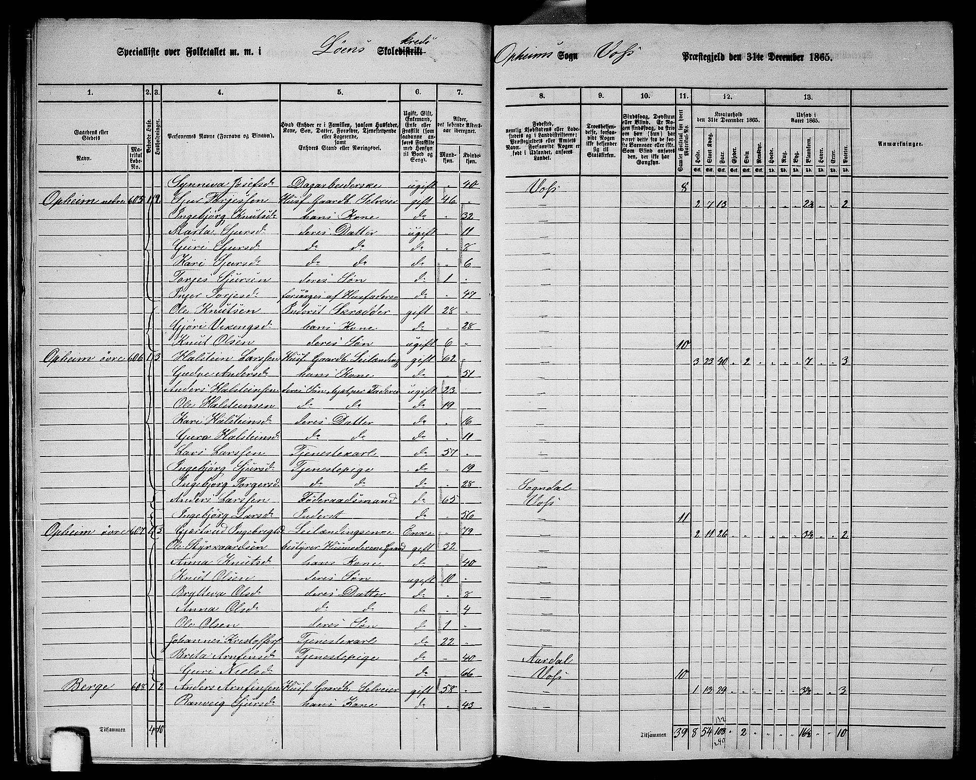 RA, 1865 census for Voss, 1865, p. 244