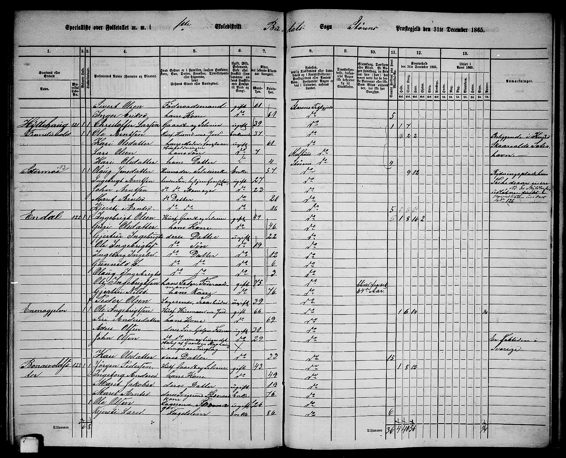 RA, 1865 census for Støren, 1865, p. 305