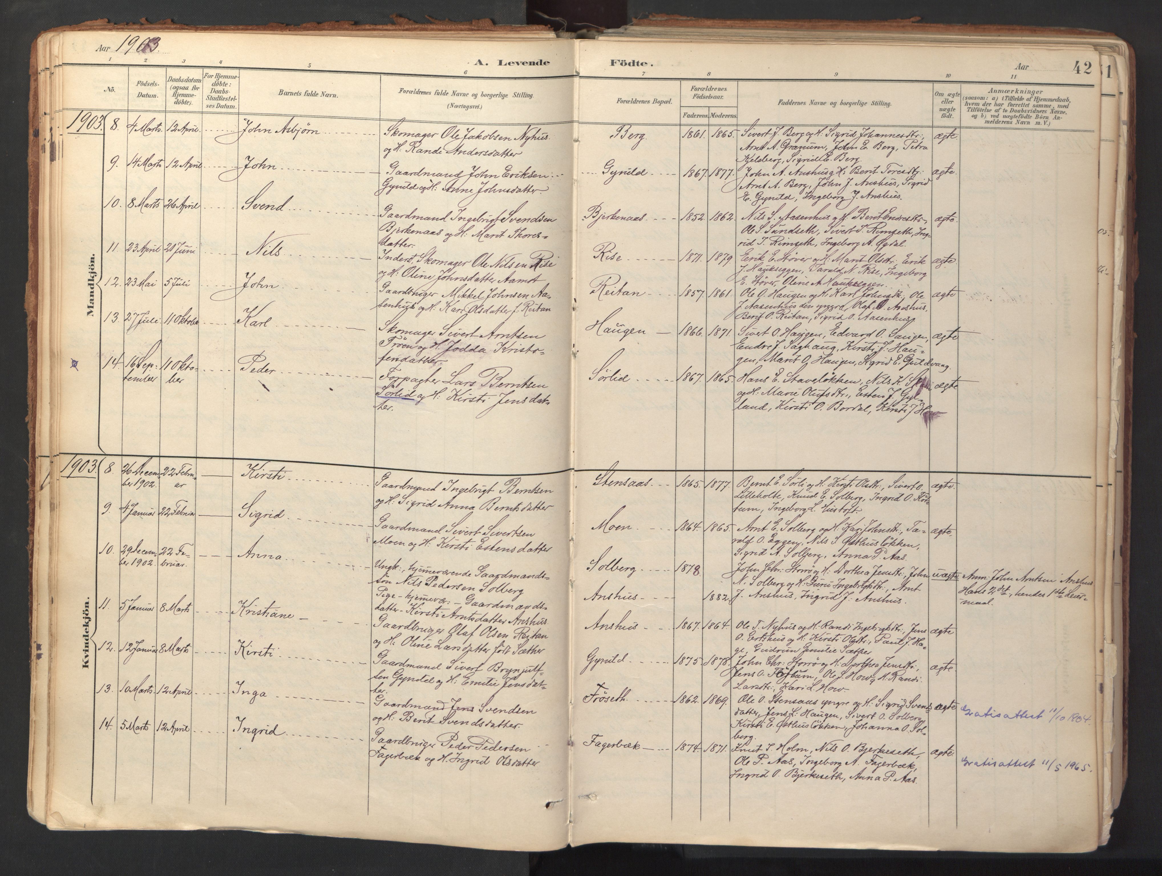 Ministerialprotokoller, klokkerbøker og fødselsregistre - Sør-Trøndelag, AV/SAT-A-1456/689/L1041: Parish register (official) no. 689A06, 1891-1923, p. 42