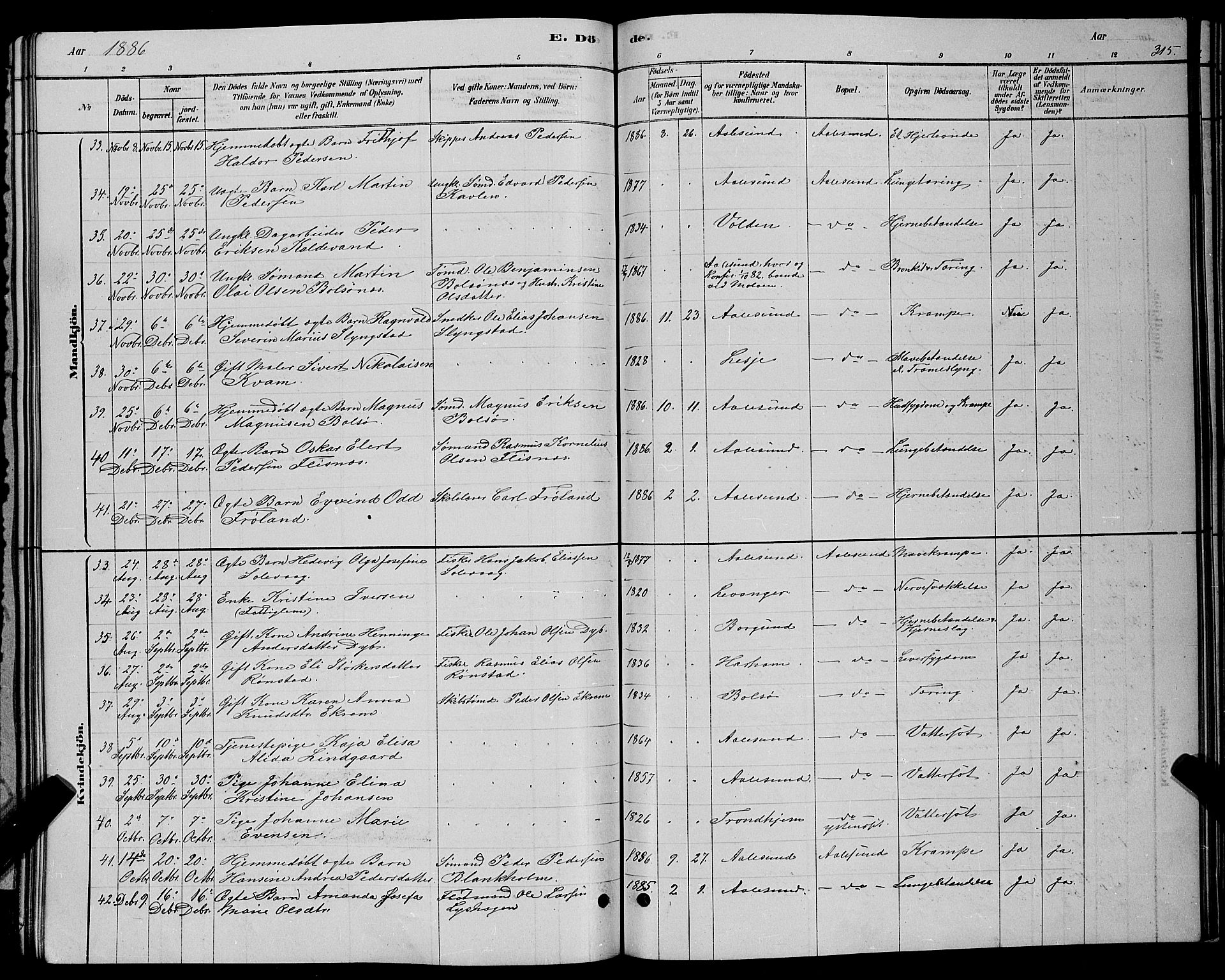 Ministerialprotokoller, klokkerbøker og fødselsregistre - Møre og Romsdal, AV/SAT-A-1454/529/L0466: Parish register (copy) no. 529C03, 1878-1888, p. 315