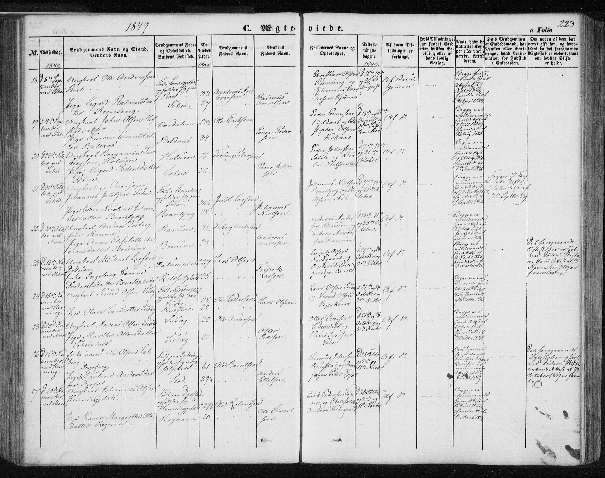 Ministerialprotokoller, klokkerbøker og fødselsregistre - Nord-Trøndelag, AV/SAT-A-1458/735/L0342: Parish register (official) no. 735A07 /1, 1849-1862, p. 223