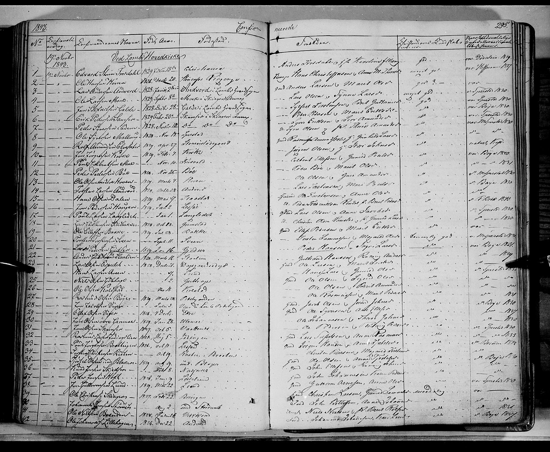 Lom prestekontor, AV/SAH-PREST-070/K/L0006: Parish register (official) no. 6A, 1837-1863, p. 295