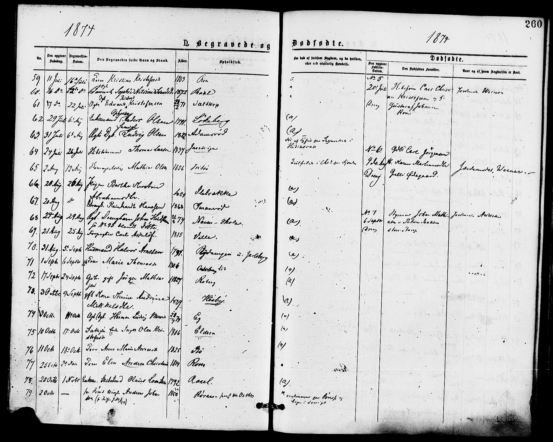 Sem kirkebøker, AV/SAKO-A-5/F/Fa/L0009: Parish register (official) no. I 9, 1874-1877, p. 260