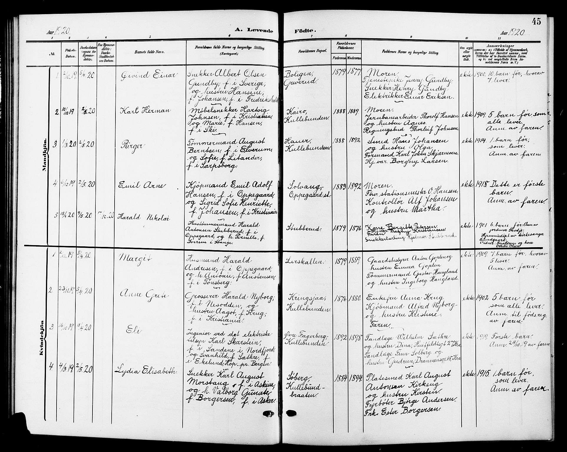Nesodden prestekontor Kirkebøker, SAO/A-10013/G/Gb/L0001: Parish register (copy) no. II 1, 1905-1924, p. 45