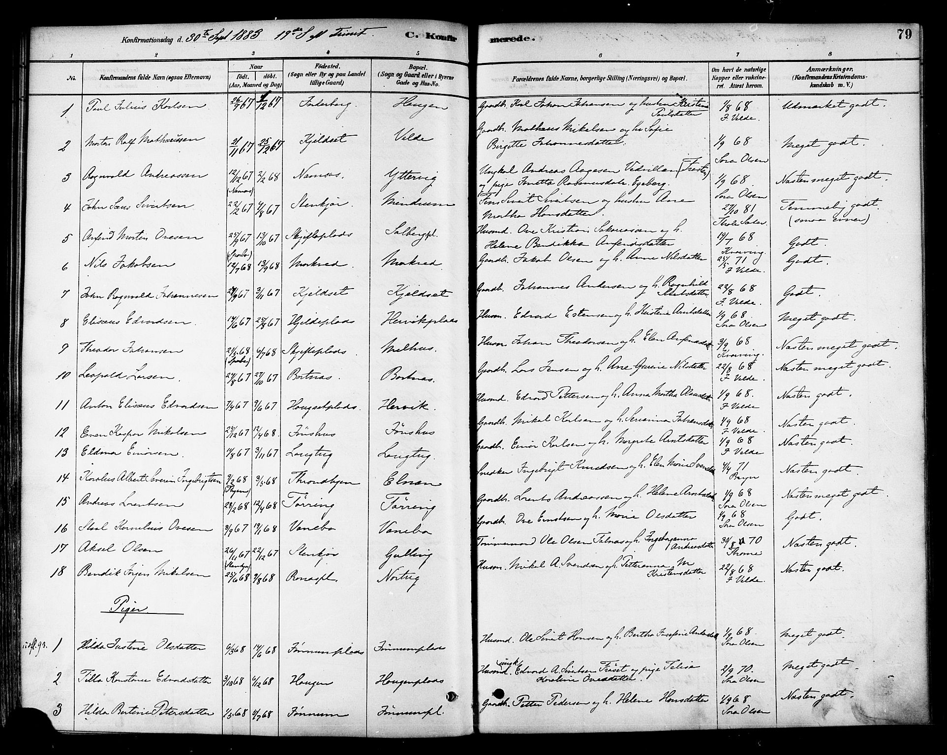 Ministerialprotokoller, klokkerbøker og fødselsregistre - Nord-Trøndelag, SAT/A-1458/741/L0395: Parish register (official) no. 741A09, 1878-1888, p. 79