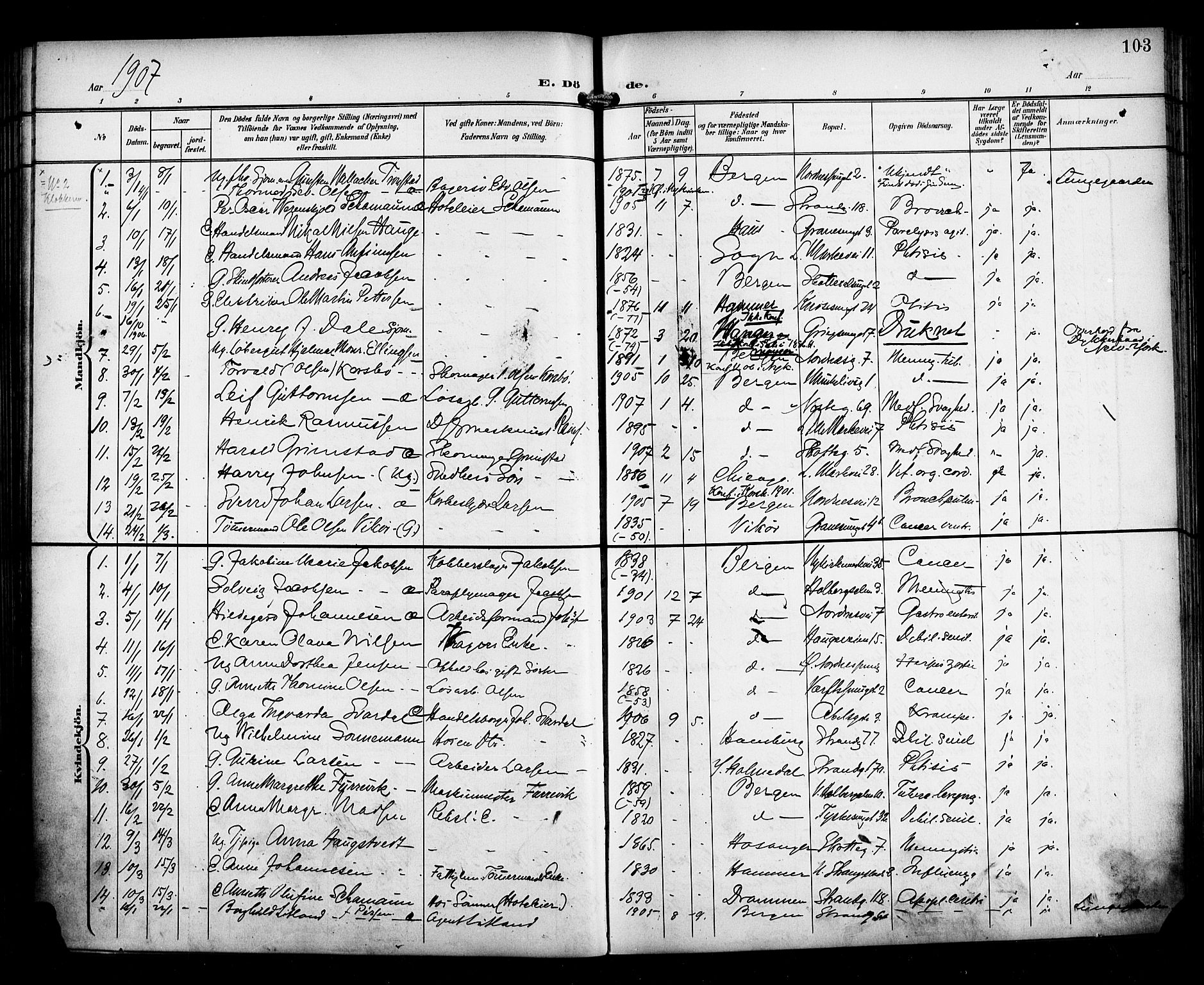 Nykirken Sokneprestembete, AV/SAB-A-77101/H/Haa/L0045: Parish register (official) no. E 5, 1899-1917, p. 103