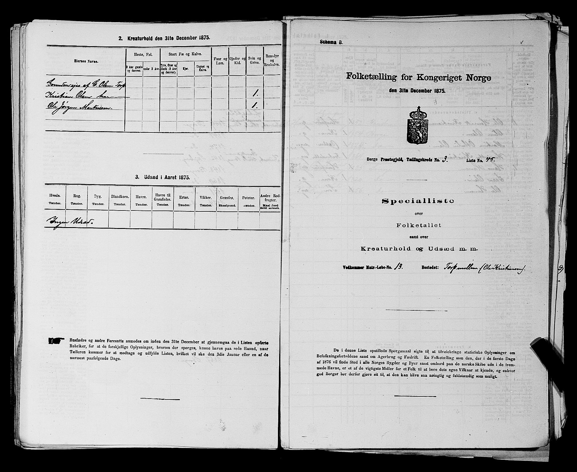 RA, 1875 census for 0113P Borge, 1875, p. 479